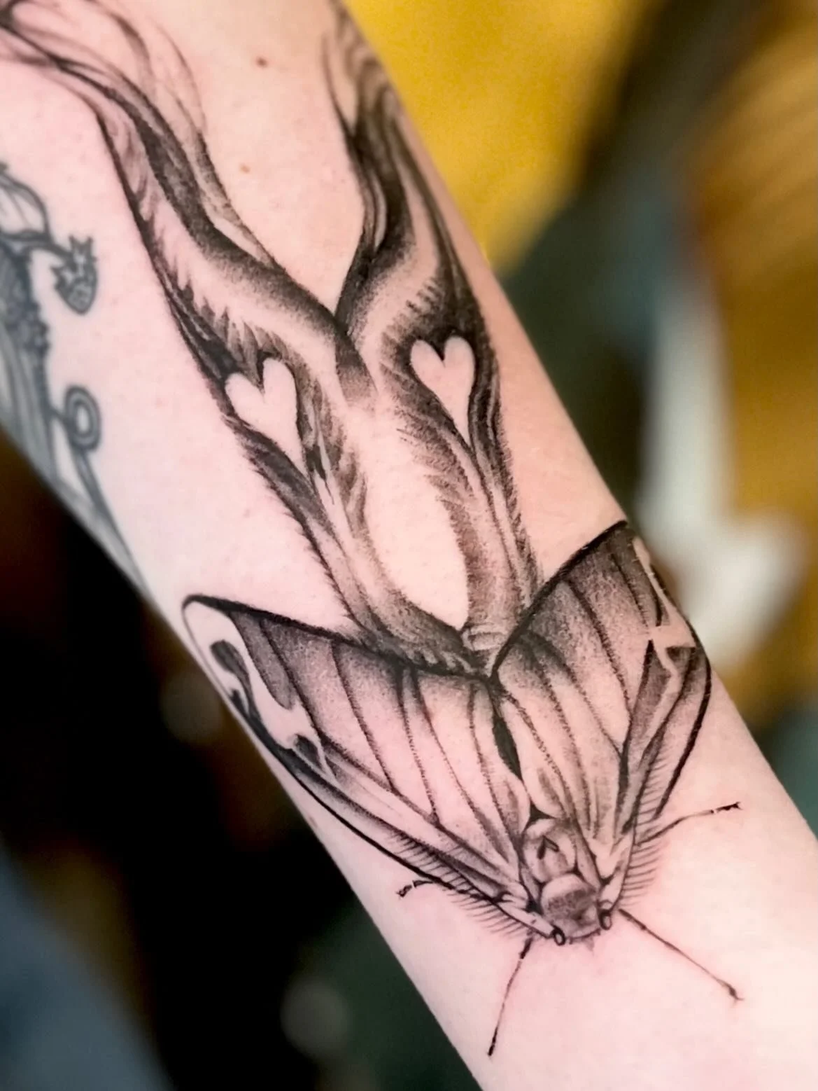 happy Valentine&rsquo;s Day! ❤️&zwj;🔥 I adore hearts &amp; over the years I&rsquo;ve done my best to jam them everywhere I possibly can in my tattoos. Some subtle, some not so subtle 🤍🤍🤍swipe to see if you can spot them all! Also, if you have a t