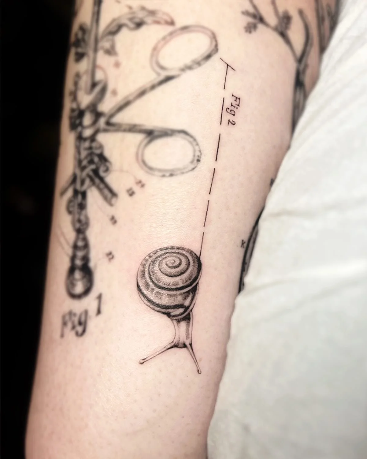 A little snail 🐌 inching along marking suture lines for this vet extraordinaire! Or maybe he&rsquo;s just a snail ruler depending on his mood. Thank you so much for always trusting me&mdash; another super fun &amp; cute concept for Colleen! Fusing t