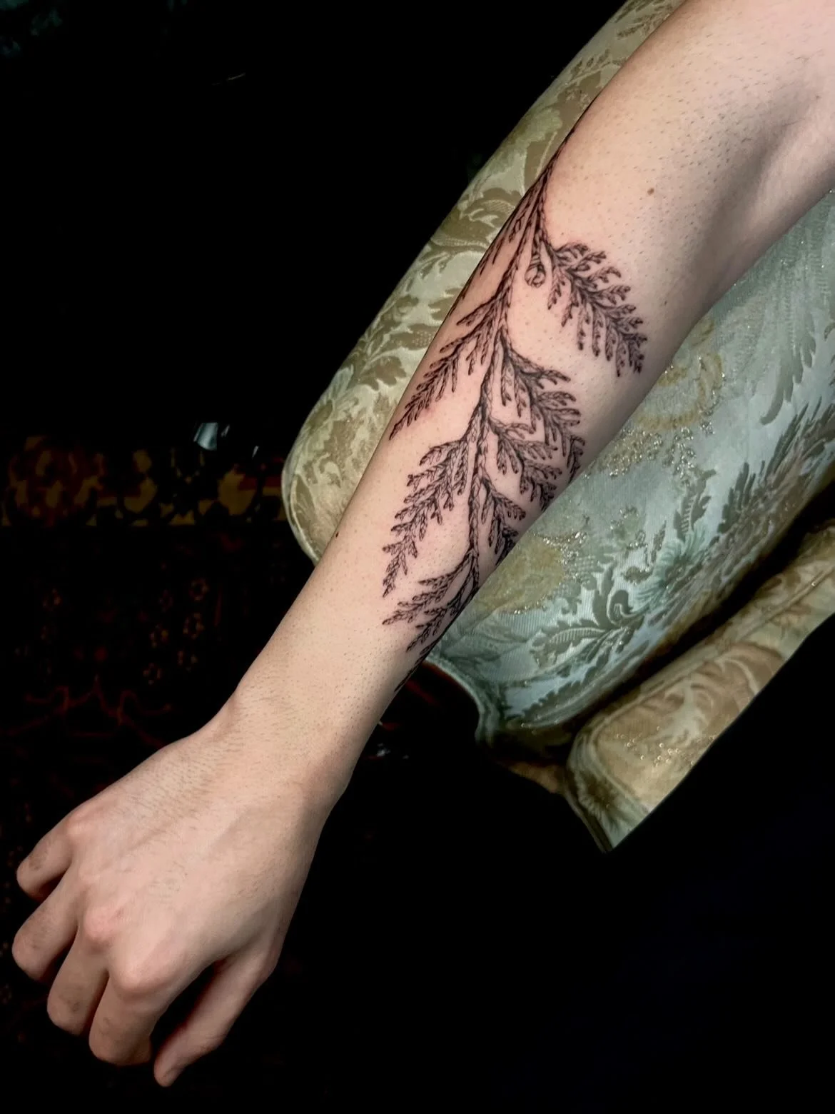 Red cedar branch wrap for Darius &amp; Rachael 🖤 for a furry pup. Thank you so much for this incredibly fun project &amp; a beautiful start to 2026! A dynamic &amp; inspirational duo to get me rearing up and stampeding into the new year 🐎 🐎 🐎 ✨ 
