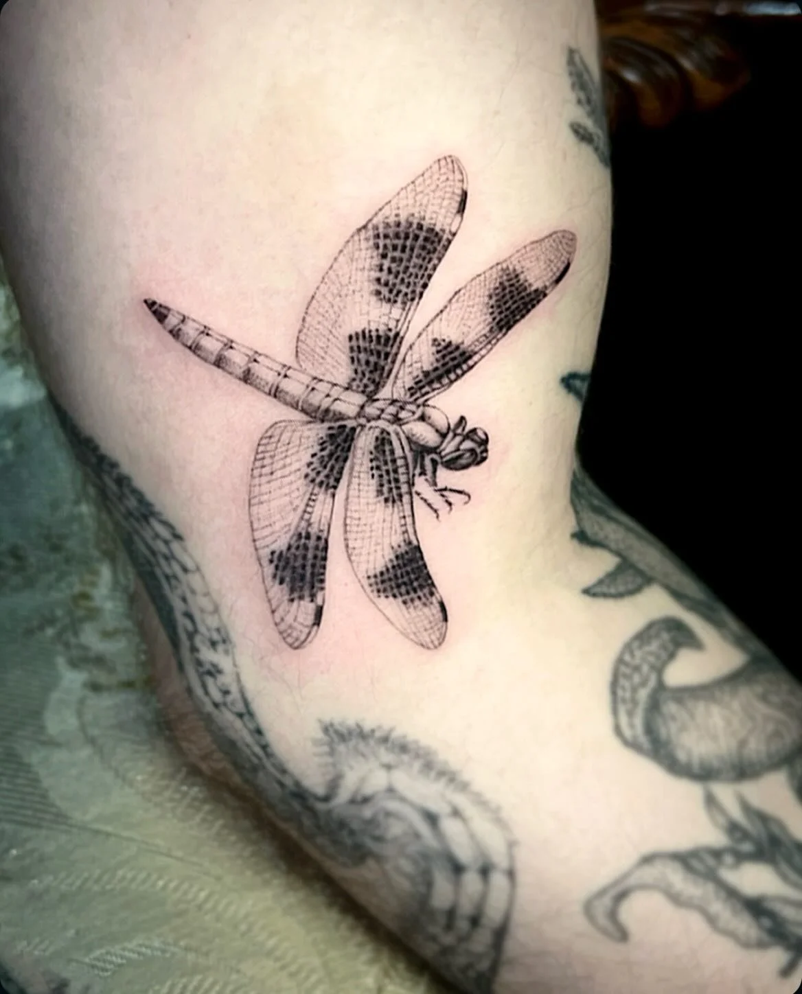 a little magical dragonfly critter to flutter among the leaves &amp; trees for Michael ✨ thank you so much for adding to this sweet little guy to your collection! 

#dragonflytattoo #bugtattoo #sftattoo #finelinetattoo #animalstattoo