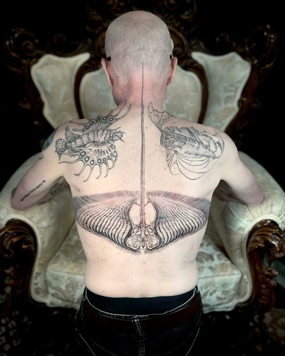 Stingray remnants &hellip; a skeletal spinal display of epic proportions for Jon 🖤 Thank you for this epic project and incredible support through the years. Forever adding to this growing ocean ecosystem and curiosity cabinet of sea creatures 🌊 

#