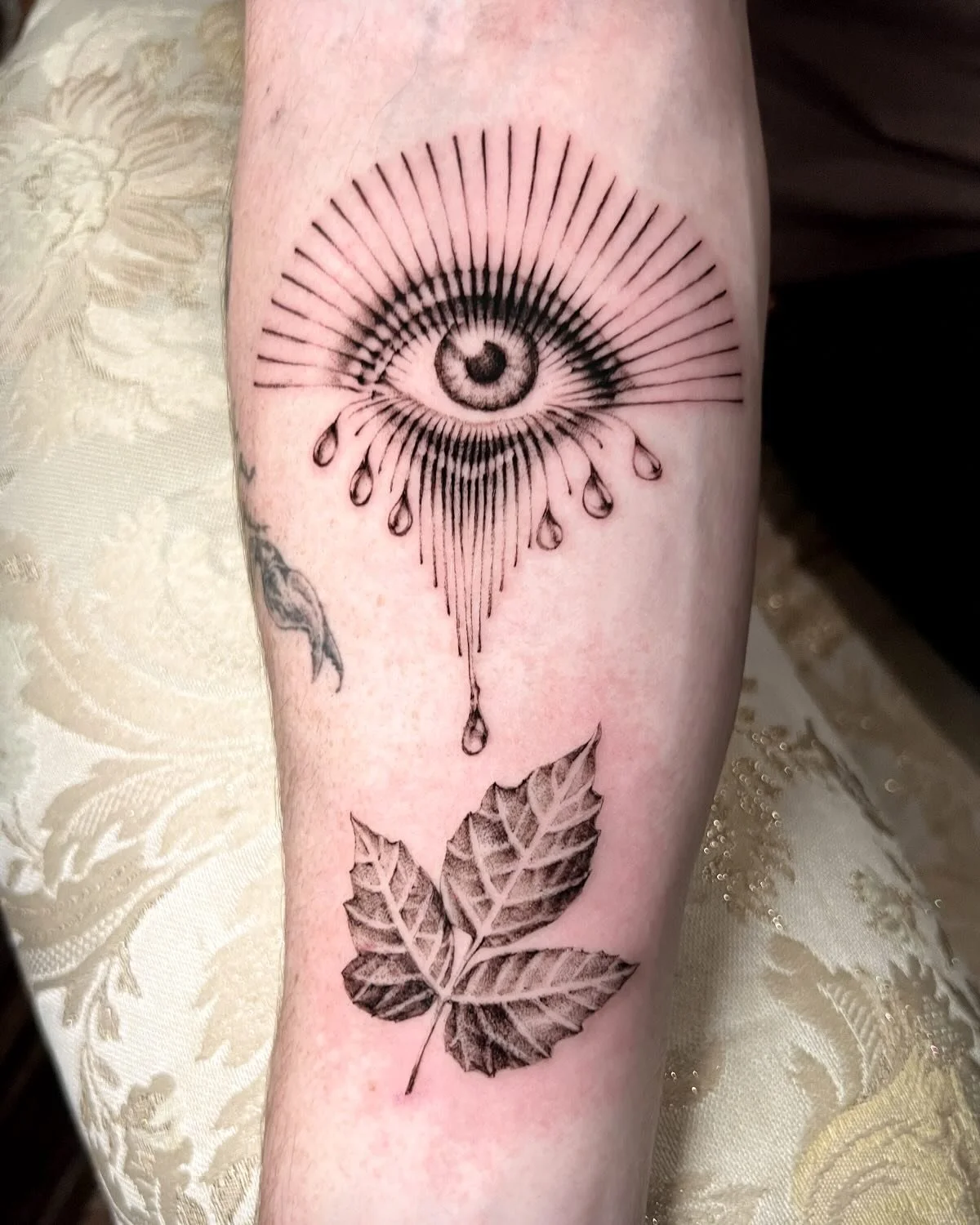 Teardrops watering ivy. 👁️ poisonous tears from pure joy &amp; delight. A surreal take on the traditional eyeball for TJ. Thank you always for trusting me to create &amp; your open ended prompts :)) can&rsquo;t wait for your next trip!! 🖤

#surreal
