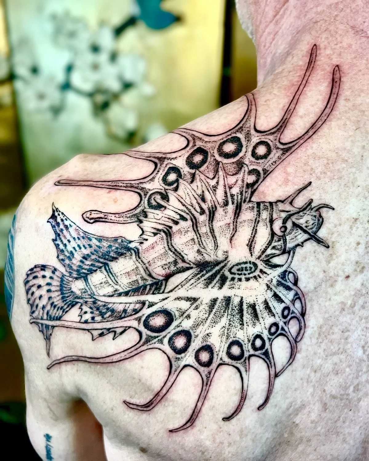 A baby lion fish for Jon 🖤 been swimming in the ocean quite a bit lately and remembered this gem. Thank you for always sharing your love of the ocean &amp; bringing in new critters from your dives to share with me! I love learning all about these ma