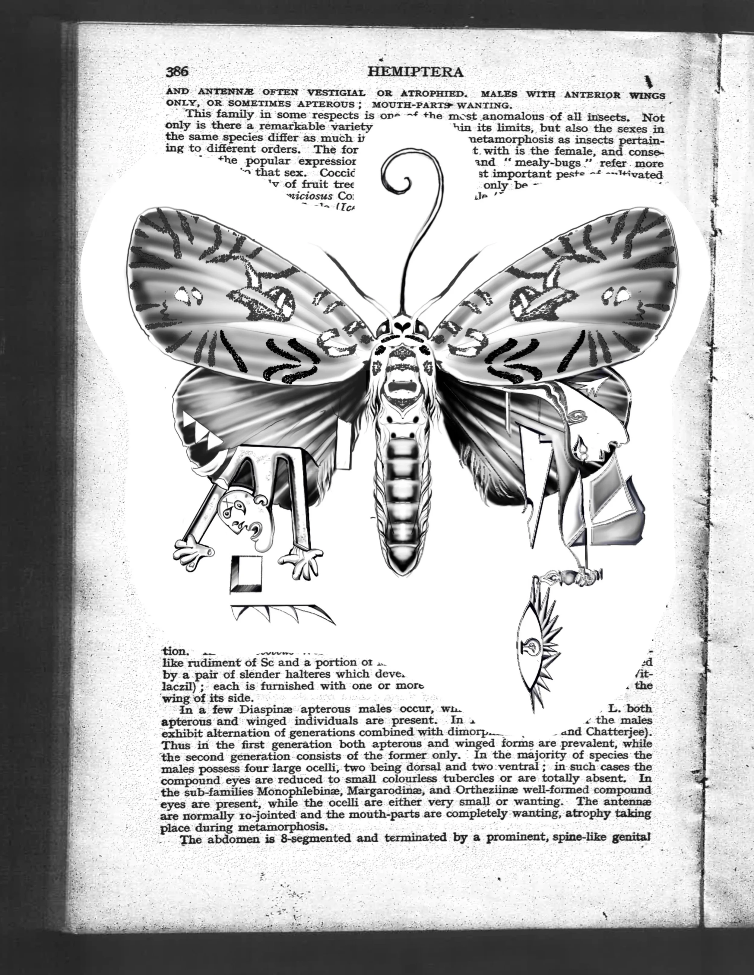 𝑨𝑽𝑨𝑰𝑳𝑨𝑩𝑳𝑬 🌹 Picasso&rsquo;s Bleeding Butterfly &bull; Book this flash via link in bio 

A Picasso butterfly capturing fleeting life, this butterfly bleeds with elements of Picasso&rsquo;s Guernica. Self explanatory &amp; things I&rsquo;ve b