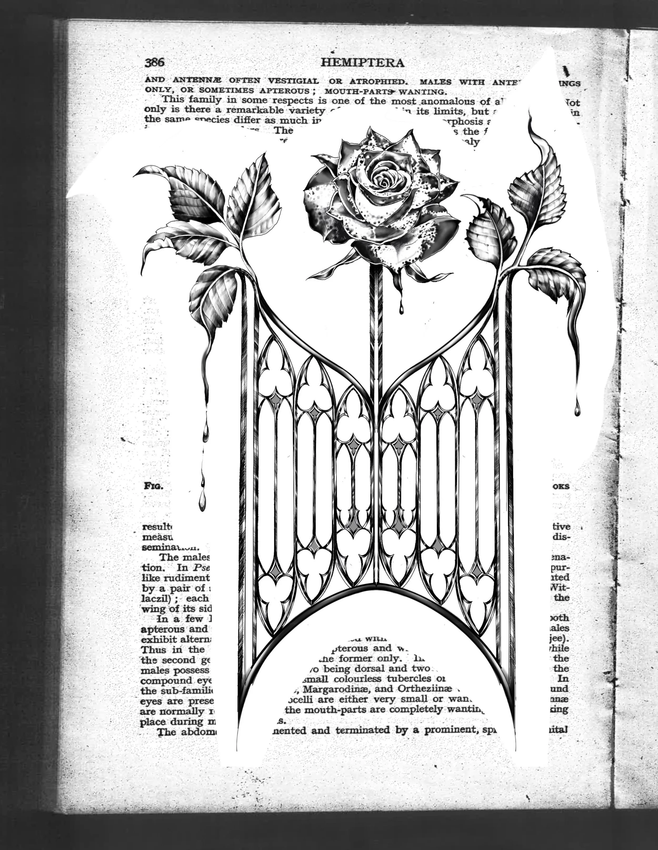 𝑨𝑽𝑨𝑰𝑳𝑨𝑩𝑳𝑬🌹 Golden Gate Rose Flornament with a gothic splash 🩸 
See available finished tattoos @inklore_ 
 A cuff of creeping rose grown from gated enclosure&hellip; a perfect dark romantic bejeweled ornament. ☠️ ❤️&zwj;🔥❤️&zwj;🔥❤️&zwj;🔥