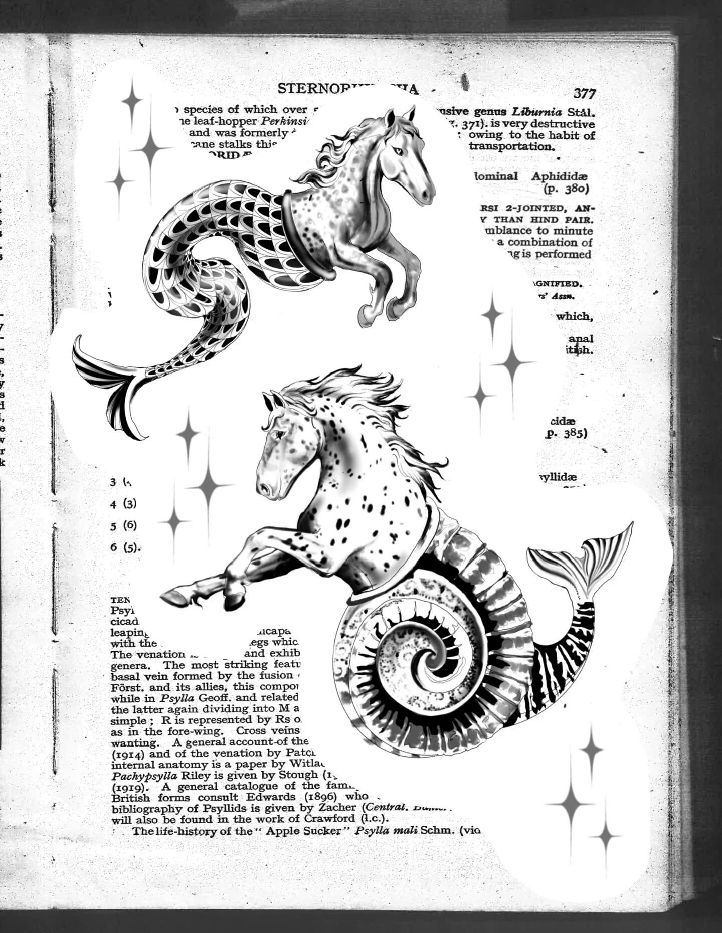 𝑨𝑽𝑨𝑰𝑳𝑨𝑩𝑳𝑬🌹The Hippocamp Beast (swipe to see original illustrations of this beast!) 
Book via link in bio 
 
In this week of BEASTS: the Hippocamp! A cryptid merging the forms of the equine and aquatic. A neighing siren of the sea and a loya