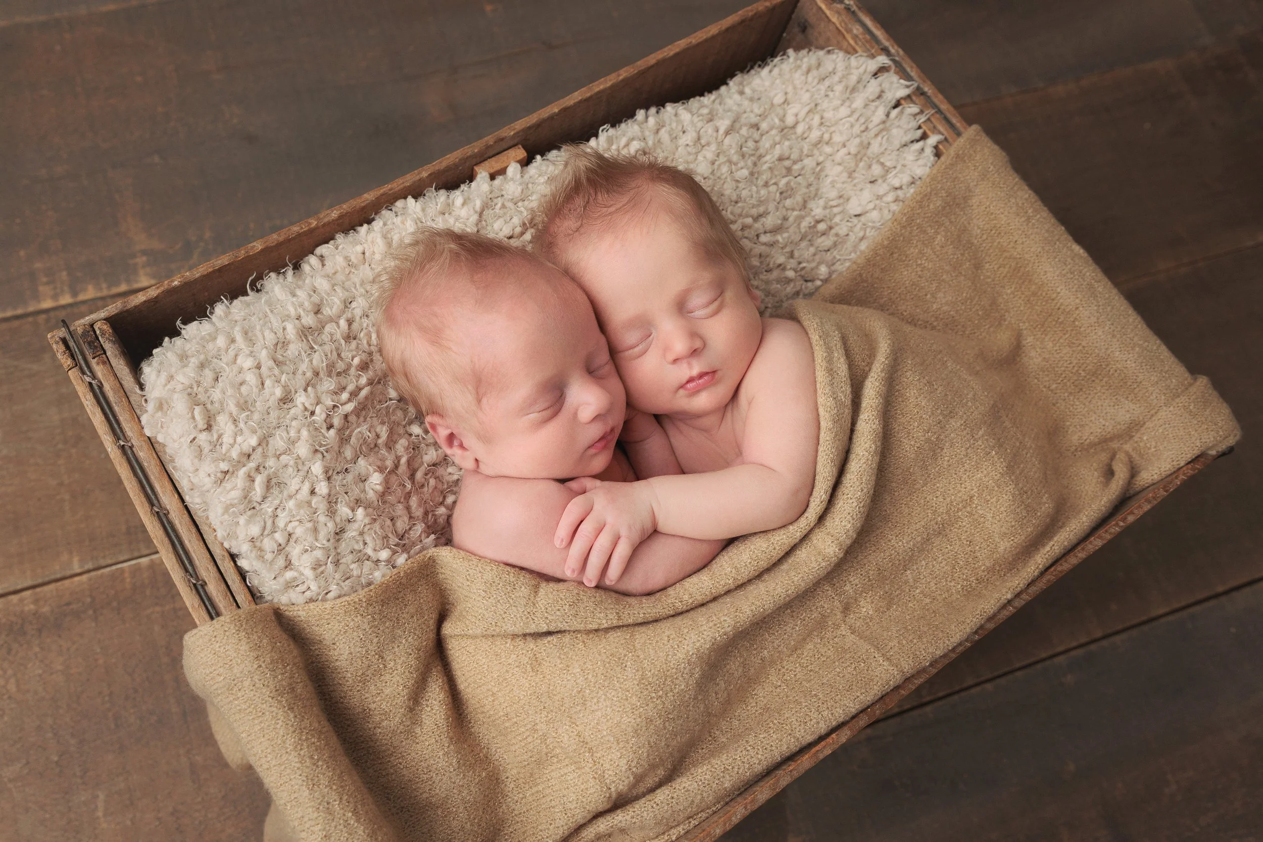 Owen Sound twins newborn session