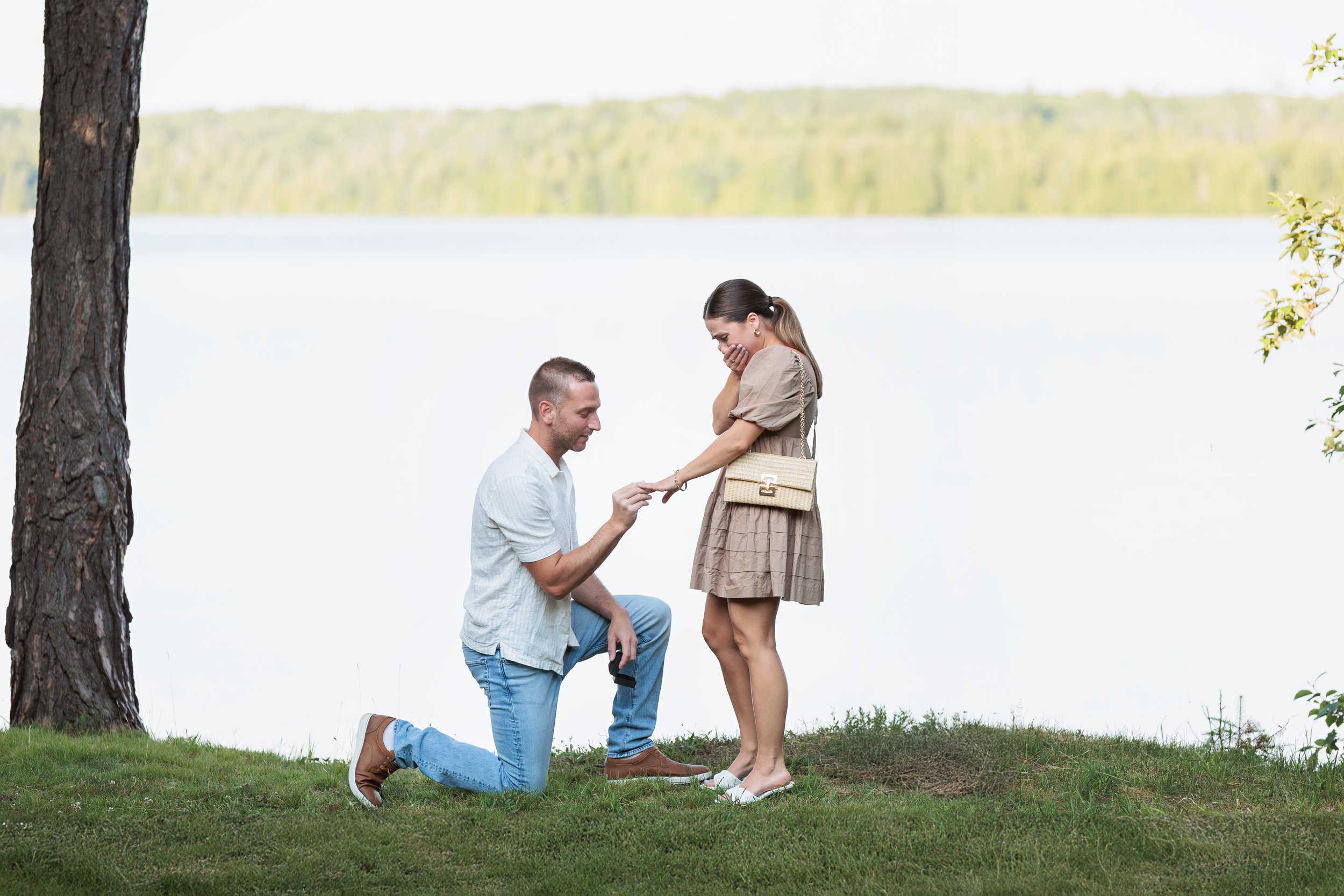 Ratte, S 12-Edited.jpg