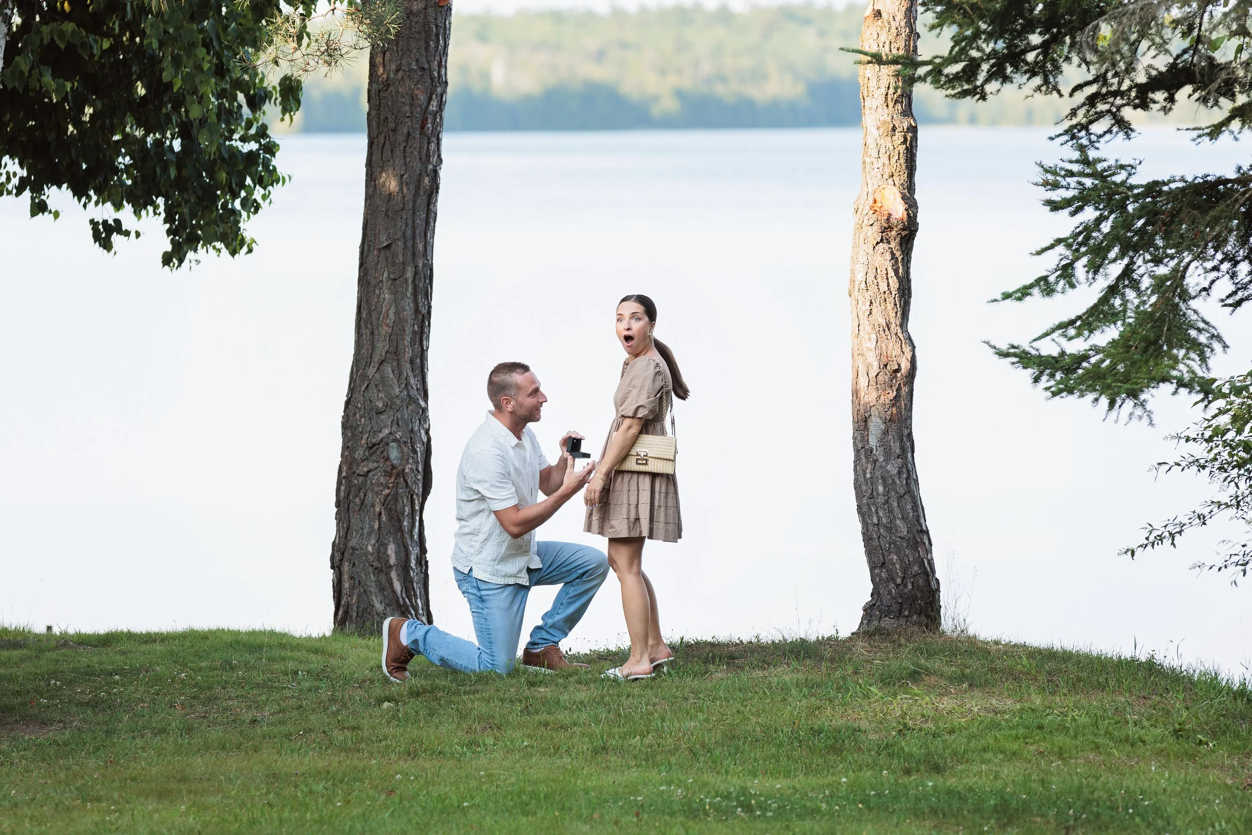 Ratte, S 3-Edited.jpg