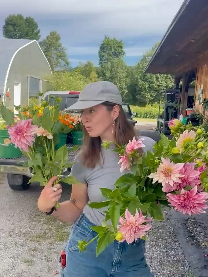We finally have dahlias this year! After years of floods rotting Every. Single. Tuber. and years of gleaning from our flower friends&rsquo; fields, a whole ass farm move and the dahlias are finally in bloom, lush and abundant.

They love this Charlot
