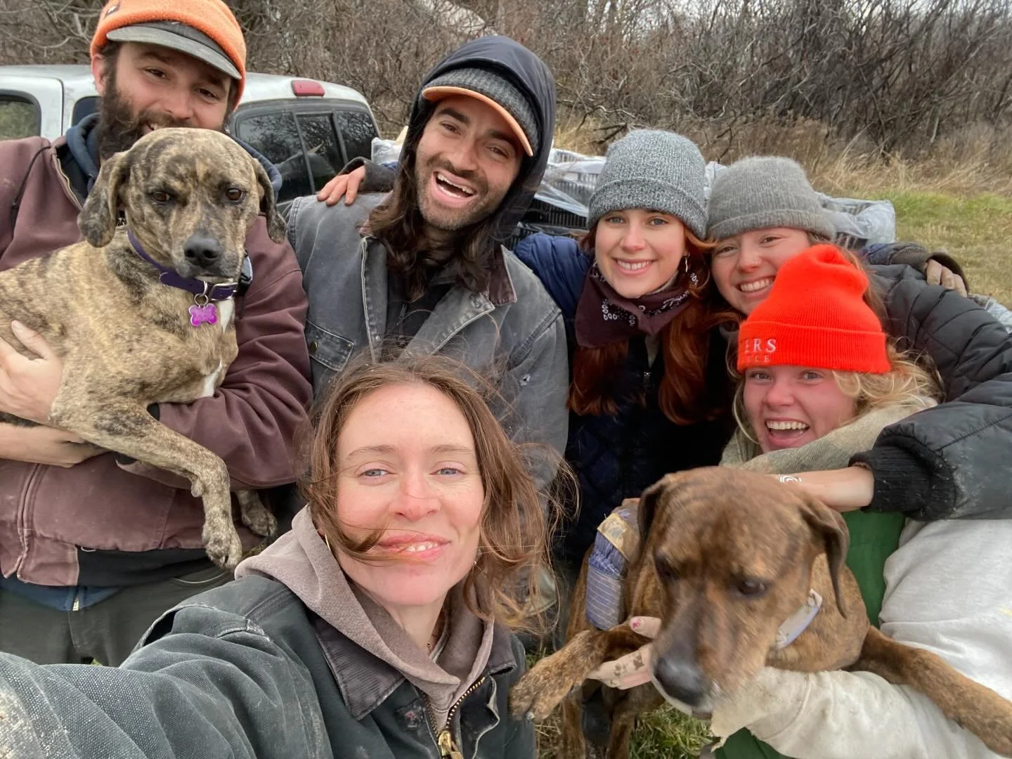 Phew what a season ❣️ I love these people, I love this farm, I really enjoyed this season. 

We wouldn&rsquo;t have had our best season yet without this crew, all the florists, all the BFM customers, our neighbors, our grocery bouquet buyers, and eve