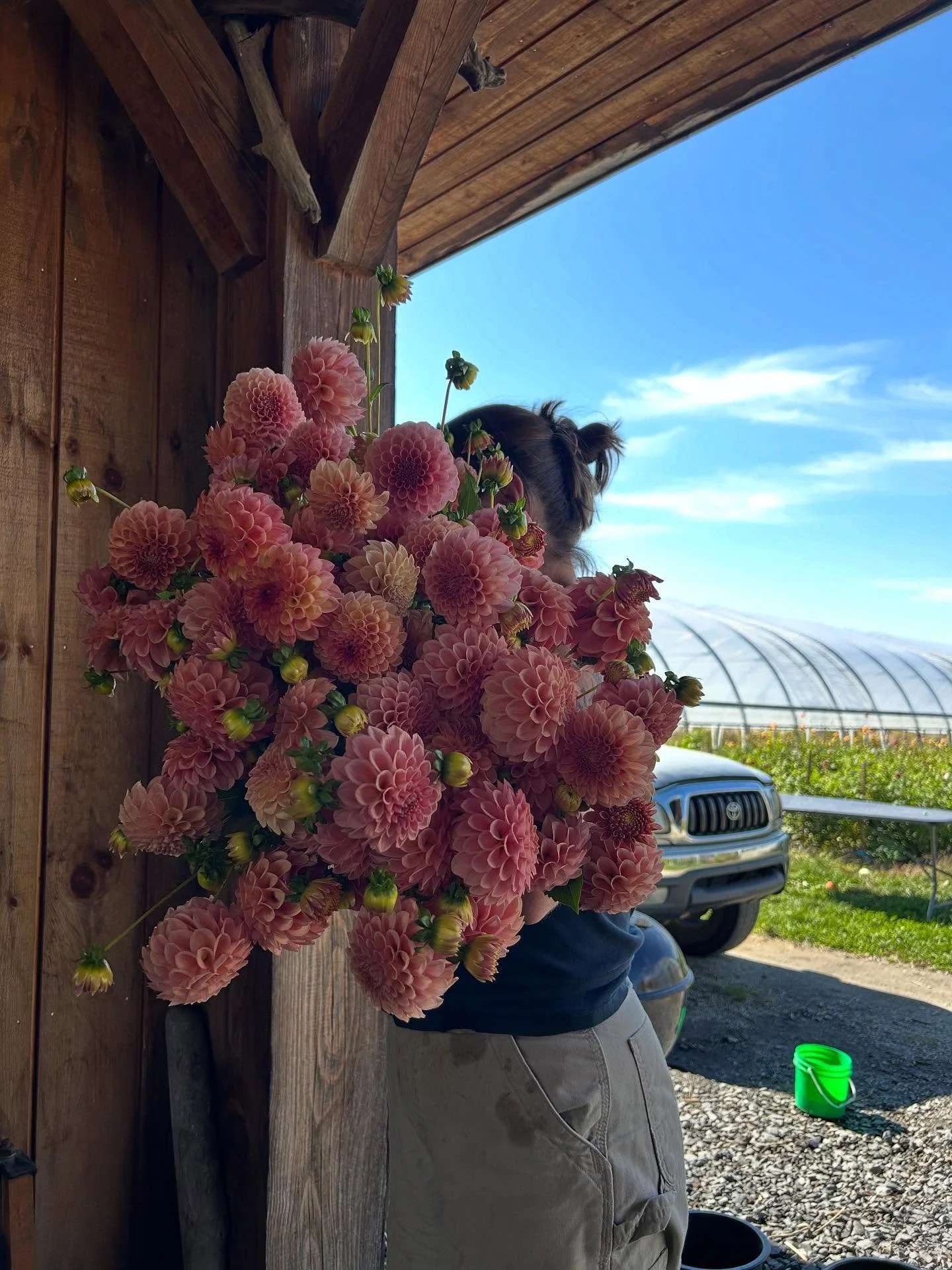 If the flowers keep blooming, we&rsquo;ll keep cutting, even with a million things to do before the deep cold moves in. I do consider myself a fair-weather farmer, but we&rsquo;ll keep sending out our wholesale list until the frost comes. Only three 