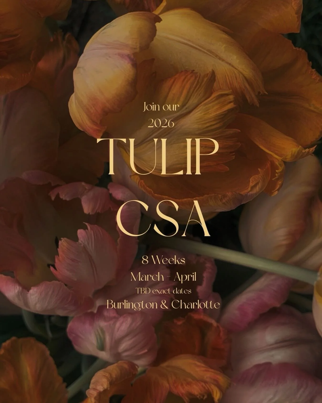 Just about a month before this CSA begins and I&rsquo;m sure we can all use some flowers these days. Pick up locations are at the farm in Charlotte or @wilderwinesvt in Burlington. Link is in our bio to learn more and sign up. I know I need some flow