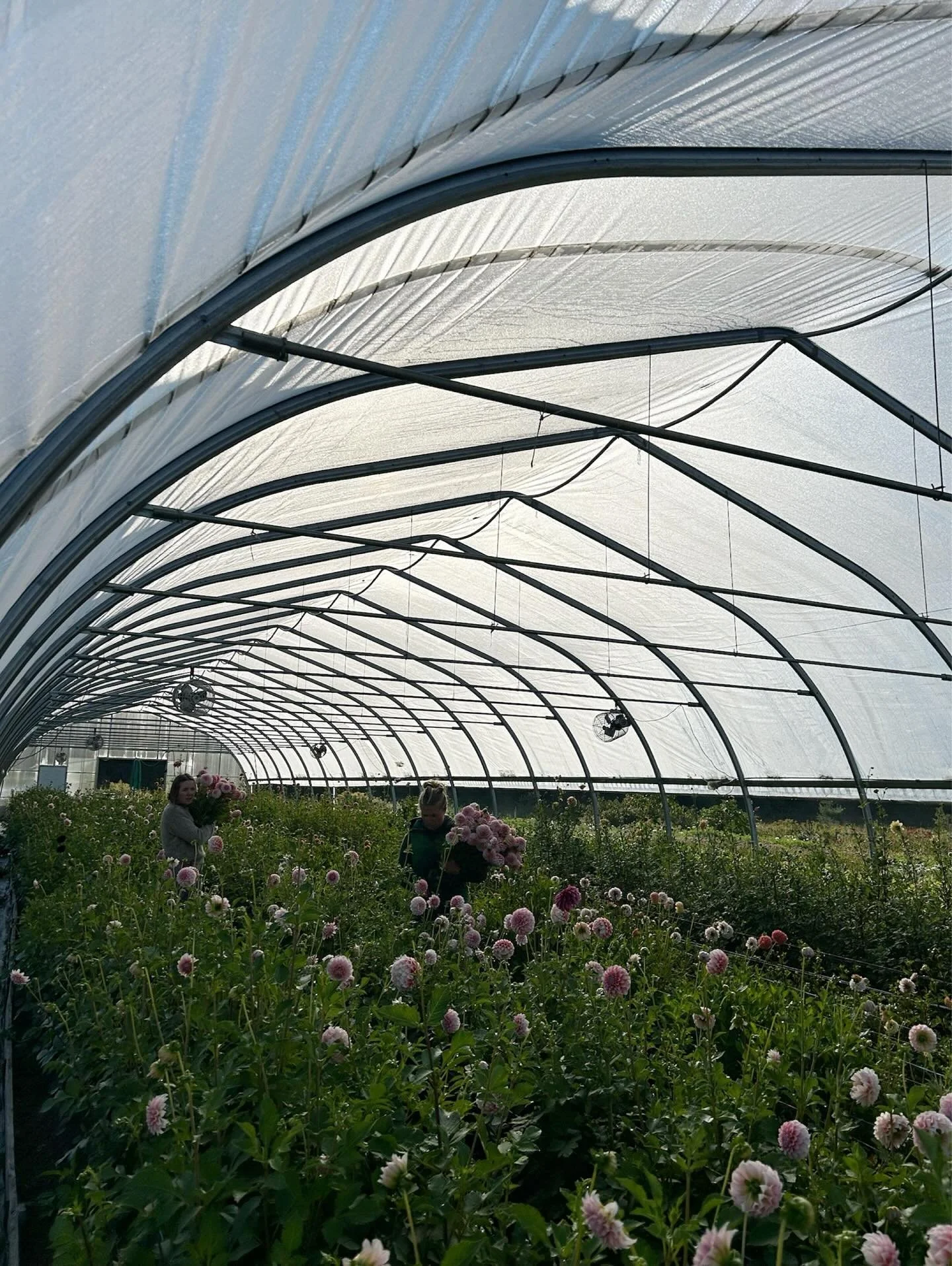 You can feel it in the pile of wool sweaters at the farm, or maybe in the early frost warnings across the state, that the season is winding down. Not this weekend, maybe, but definitely soon. Today we&rsquo;re at @bfmvermont and @shelburnefarmersmark