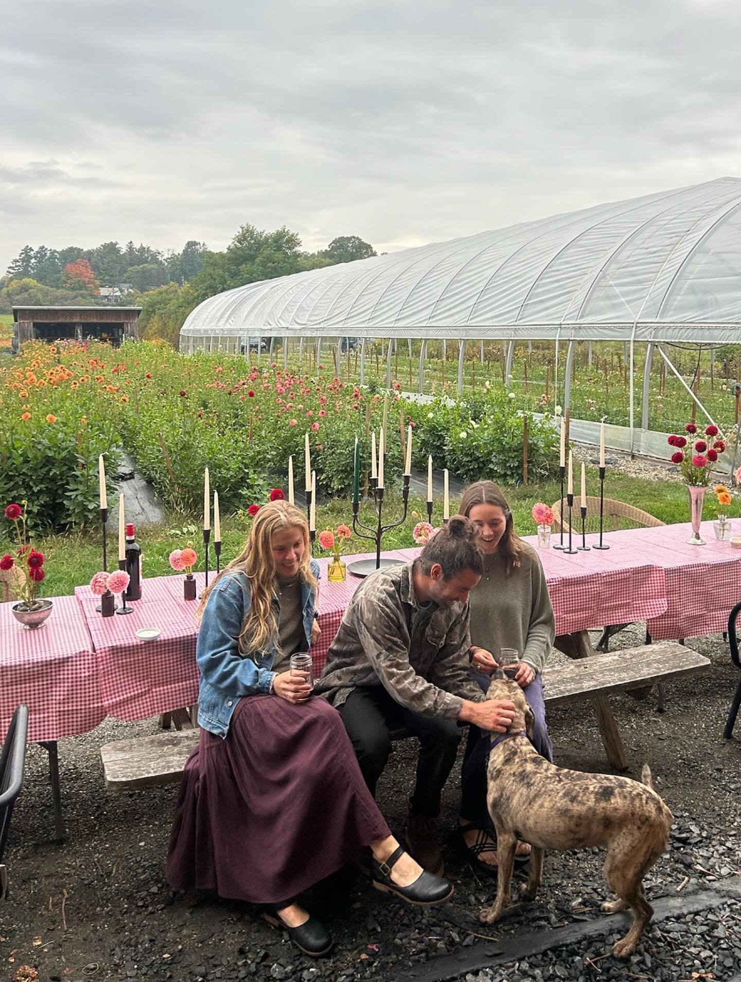 So good, it&rsquo;s hard to leave the farm. The flowers are fading along with the sun so get them both while you can