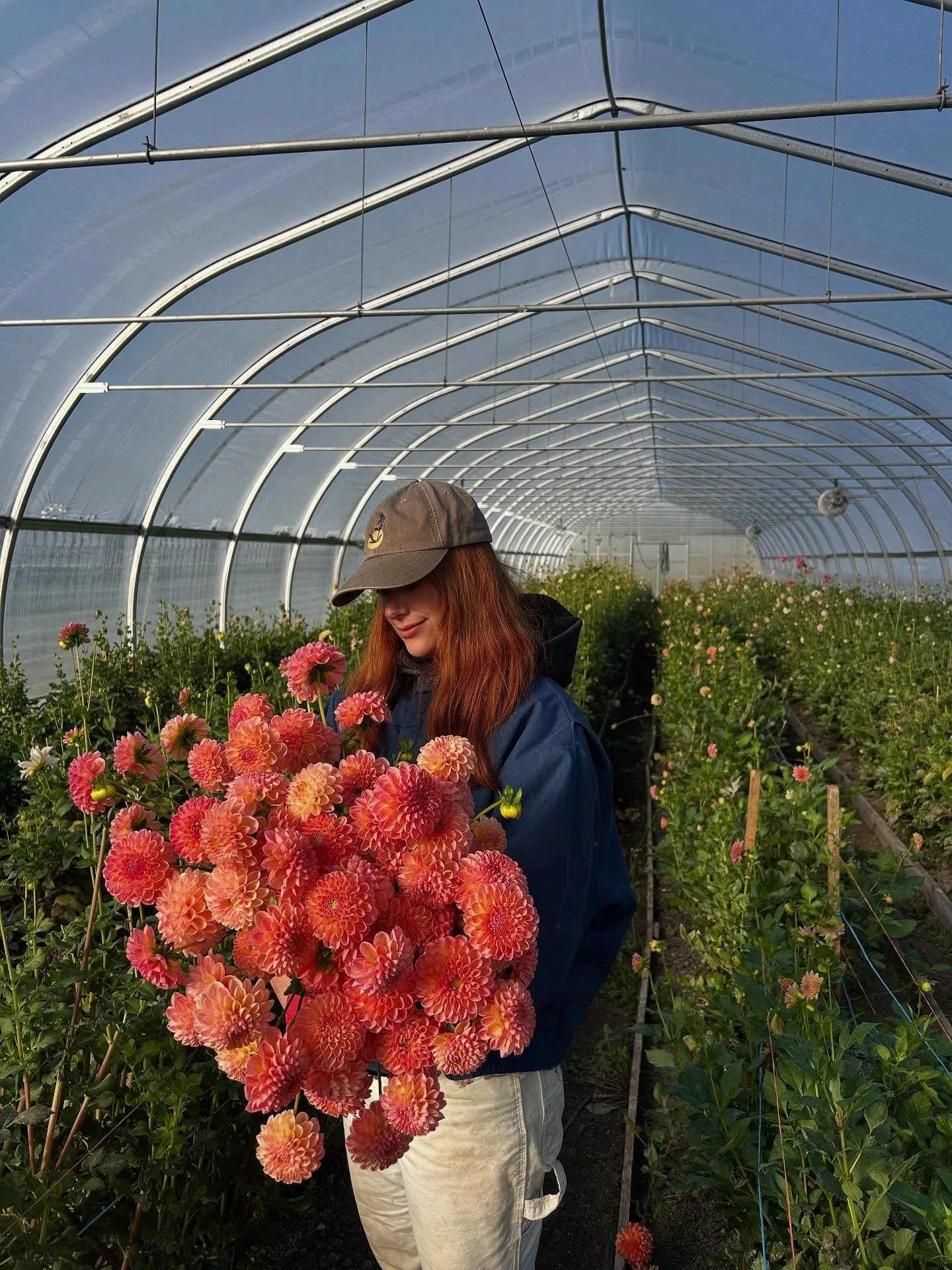 We still have a whole house full of dahlias and we&rsquo;ll be @bfmvermont tomorrow at 9am, so come grab some before you have to wait a whole year for local dahlias