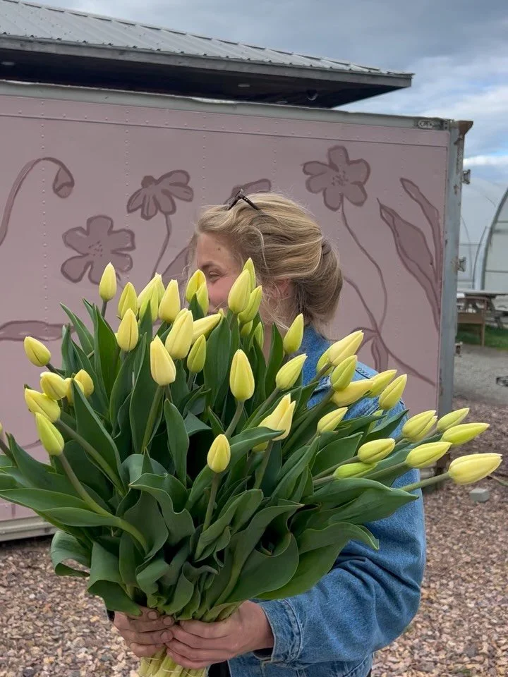 Thank you for such an incredible week so far! Today we&rsquo;re wrapping up for the FIRST Burlington Farmers&rsquo; Market of the season starting tomorrow at 9am on Pine St. We have so many incredible flowers and I hope to see you there 💗💗💗💗💗💗?