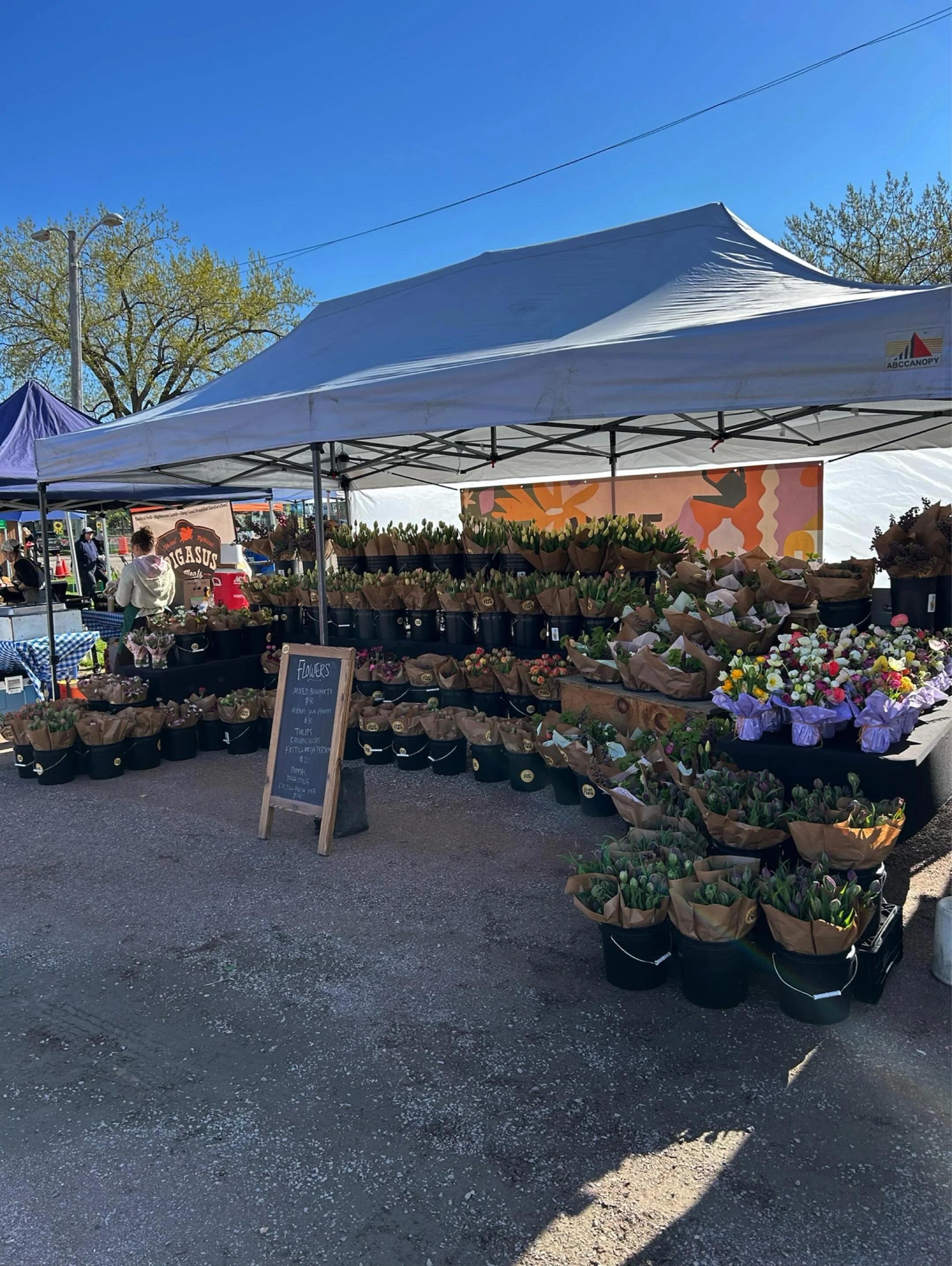 It couldn&rsquo;t be a more perfect spring day to come on down to the Burlington Farmers&rsquo; Market. We have Tulips, Ranunculus, Poppies, Fritillaries, Daffodils, mixed bouquets, and Mason Jar arrangements. We love Burlington, we love Vermont so c