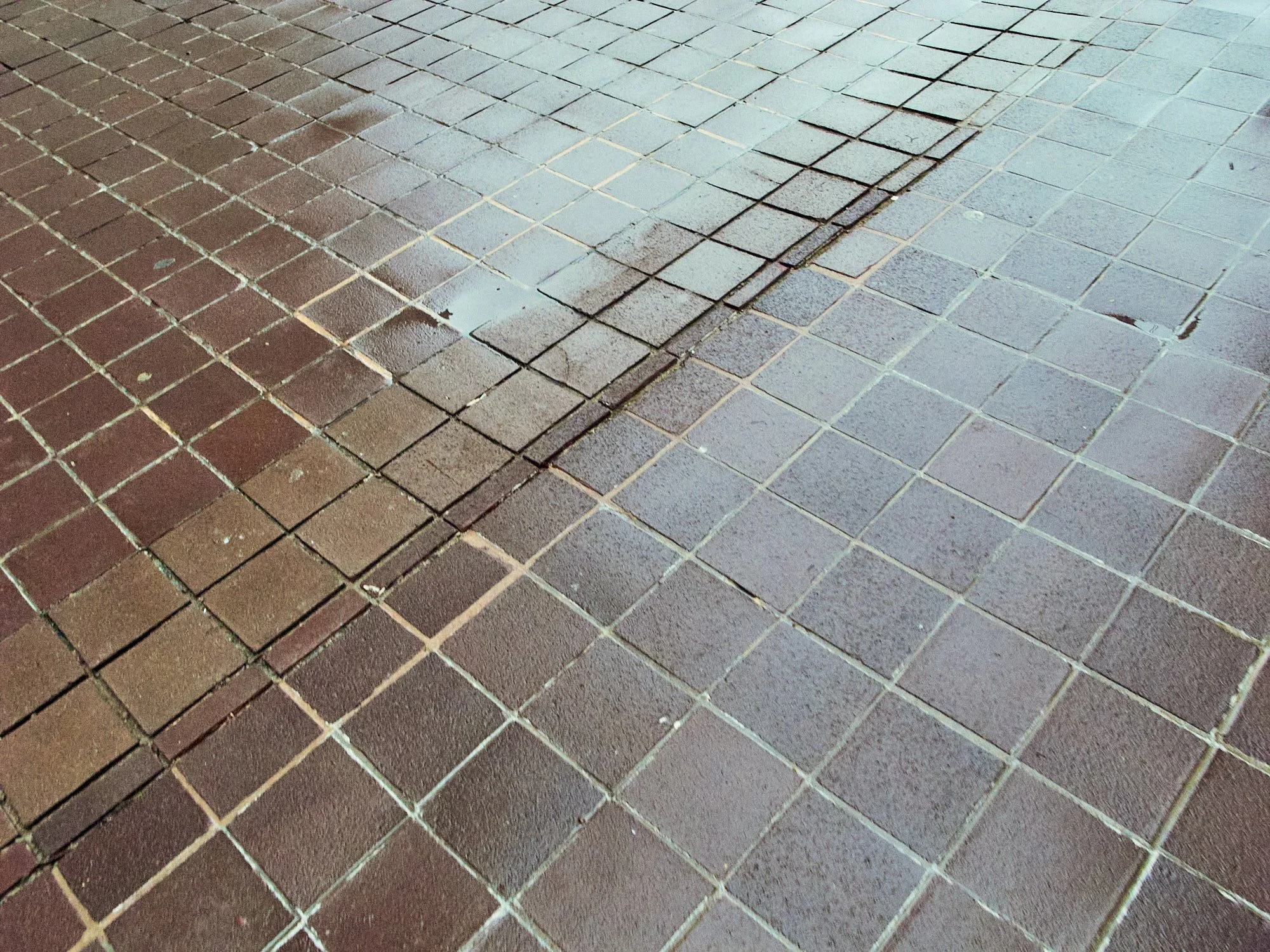 RicohDigi_2626_0011786.jpg
