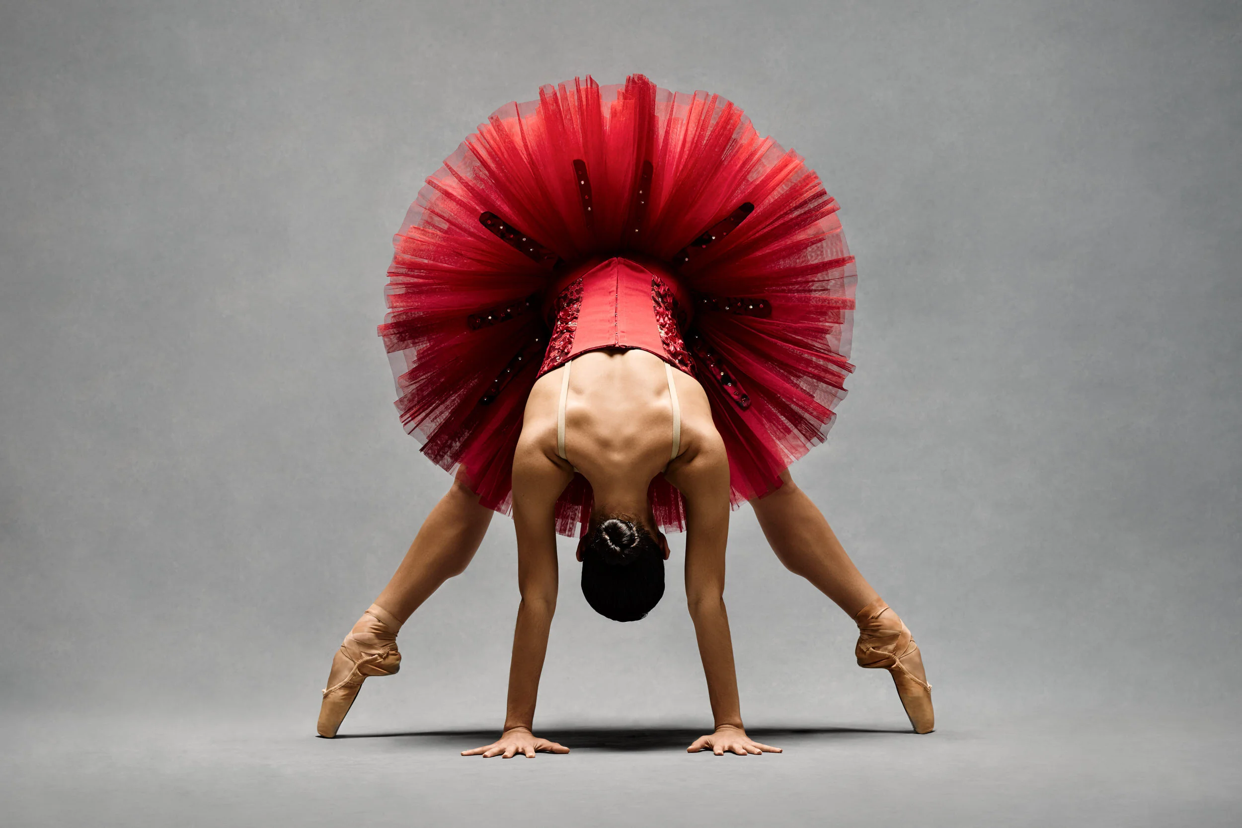 Facades Red Tutu 2018 24X36.jpg