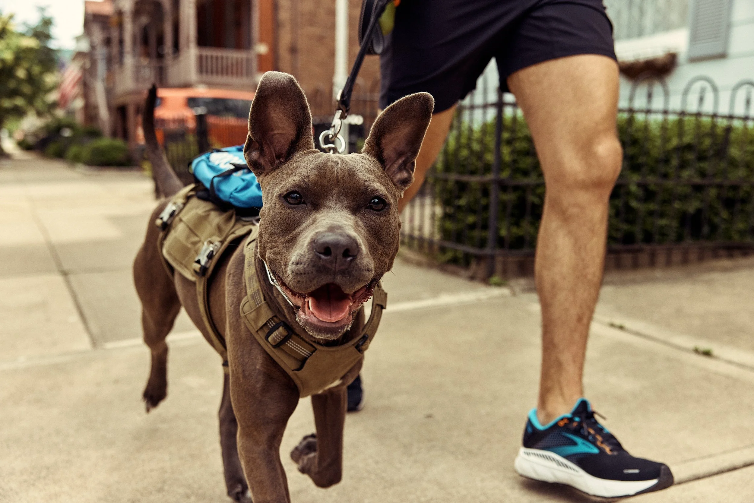 BR_2022-05-25 15.53.44_020778.jpg