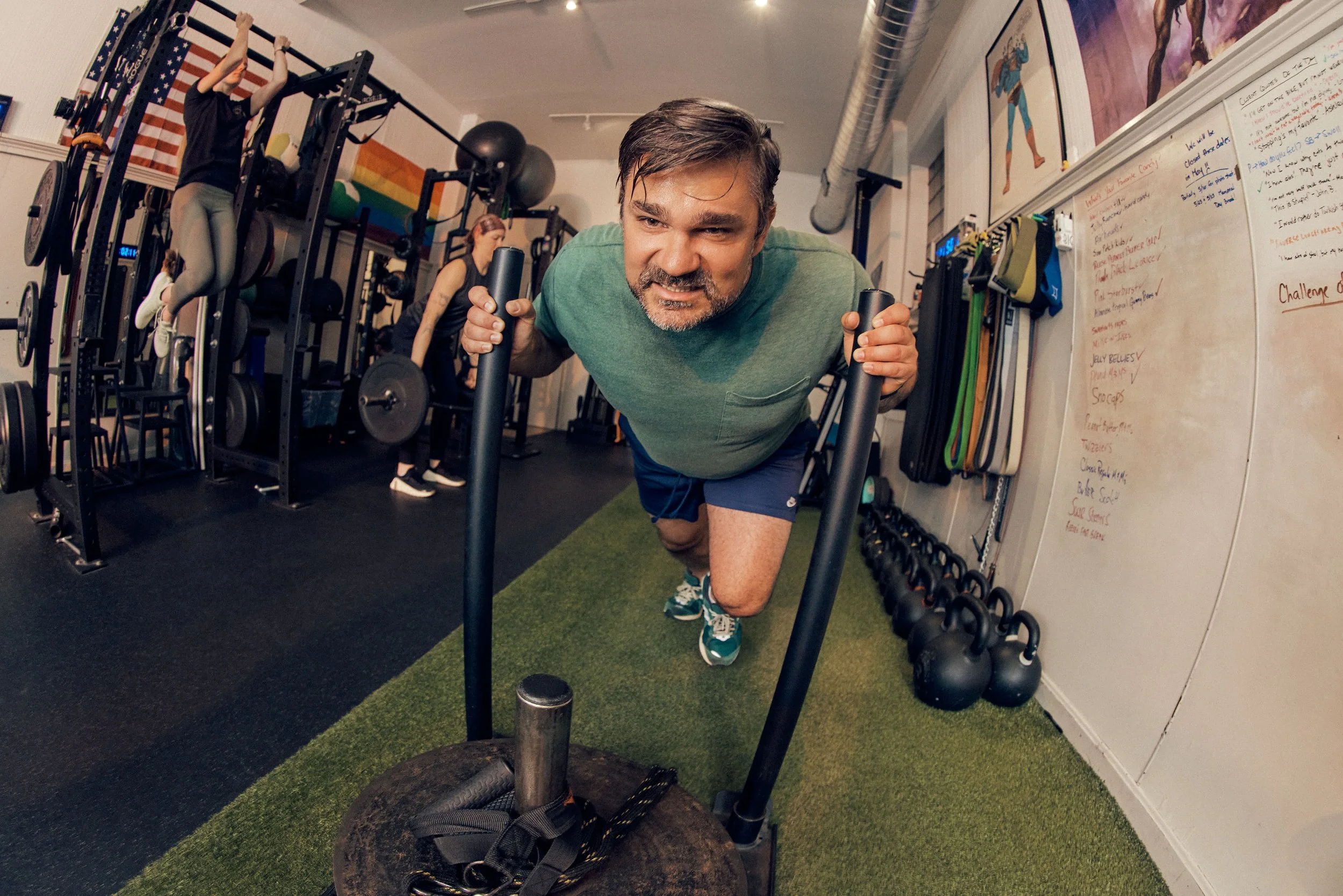 MODELFIT
