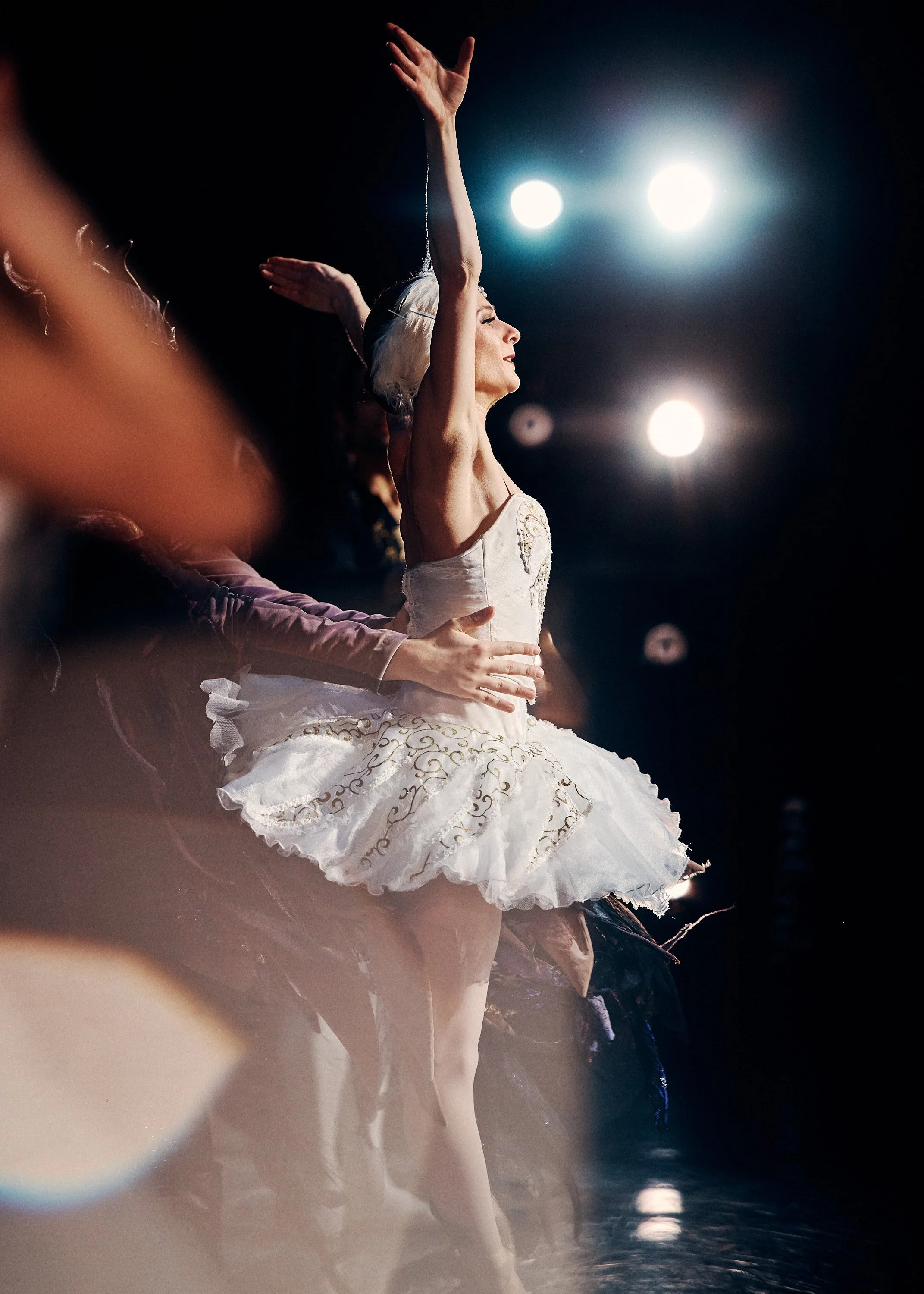 SwanLakeMusicHall_021226__MC20810.jpg
