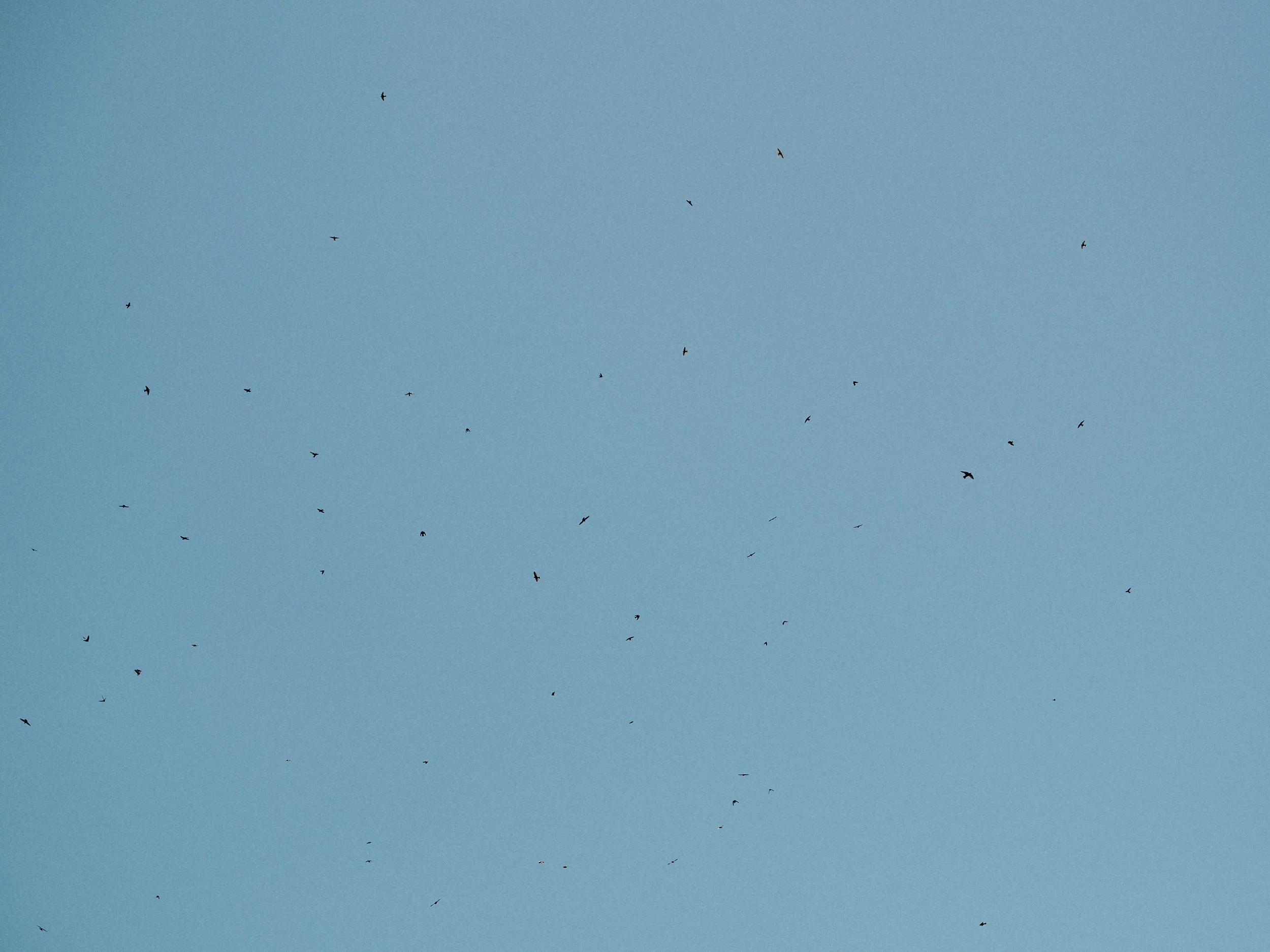 GFX100sii_060426_0743-F.jpg