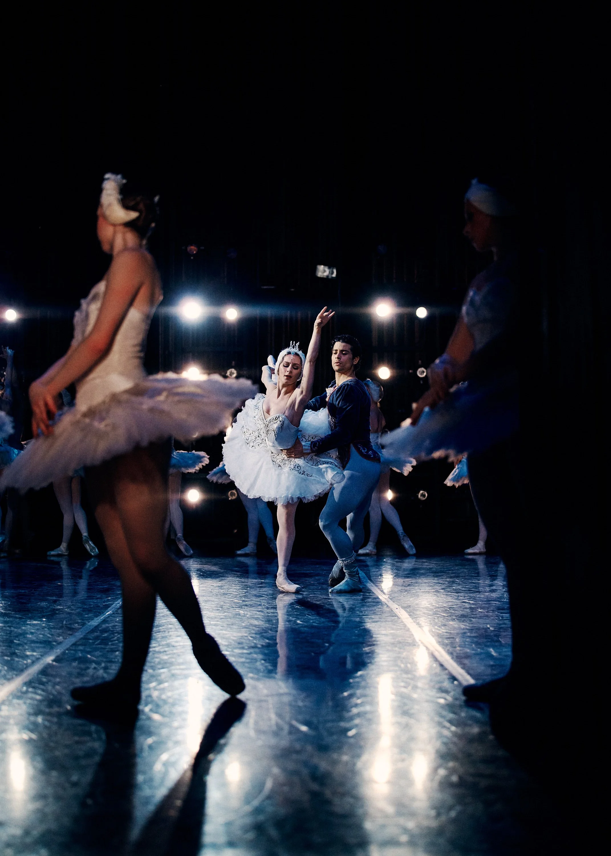 SwanLakeMusicHall_021226__MC20123.jpg