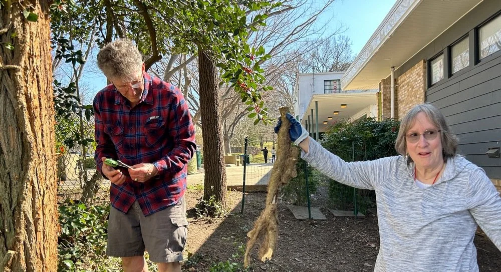 Media — GreenbeltBeltsville Garden Club