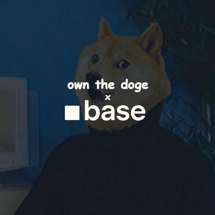 Own The Doge x Base