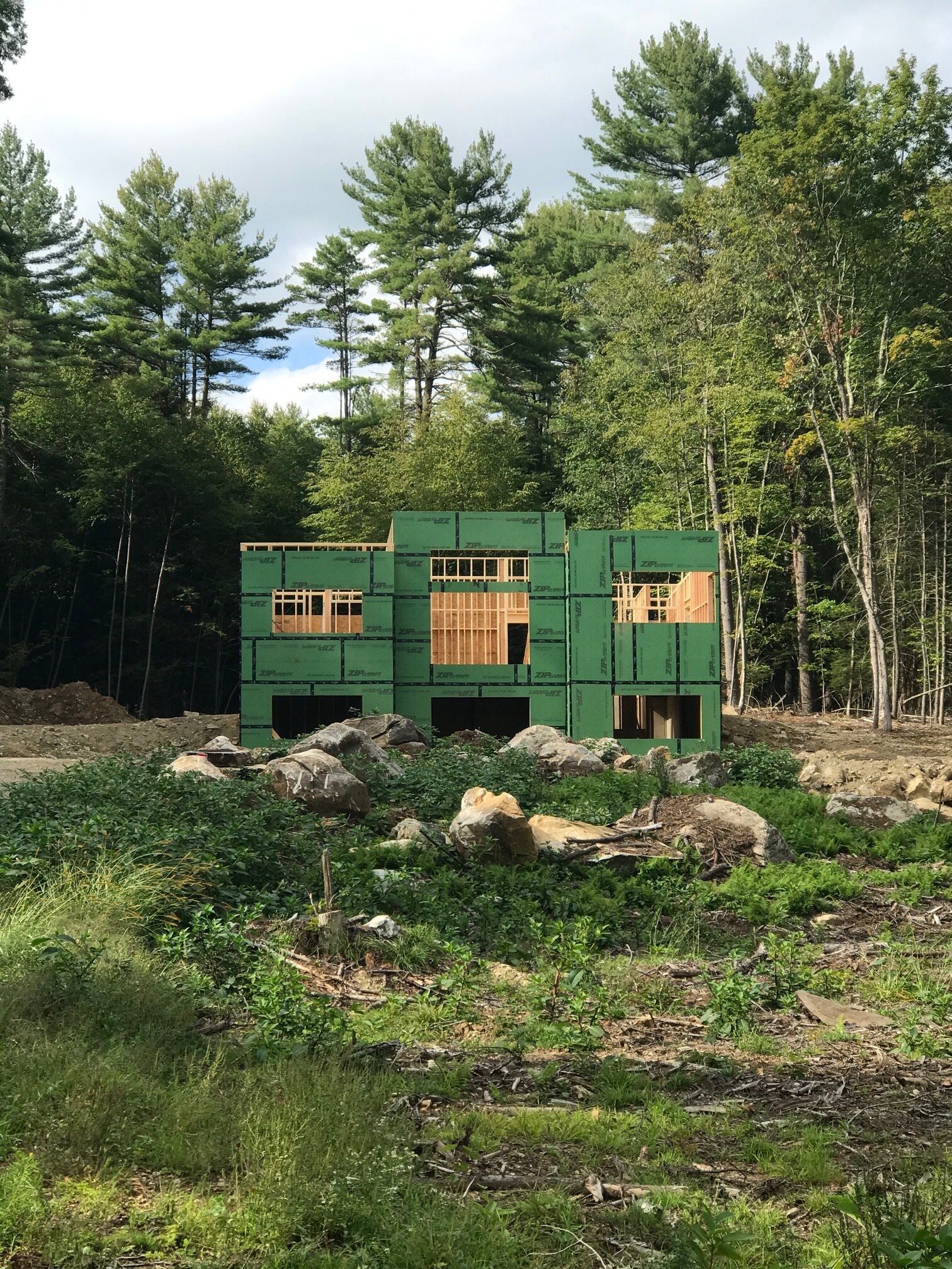 In Progress- Front of the house