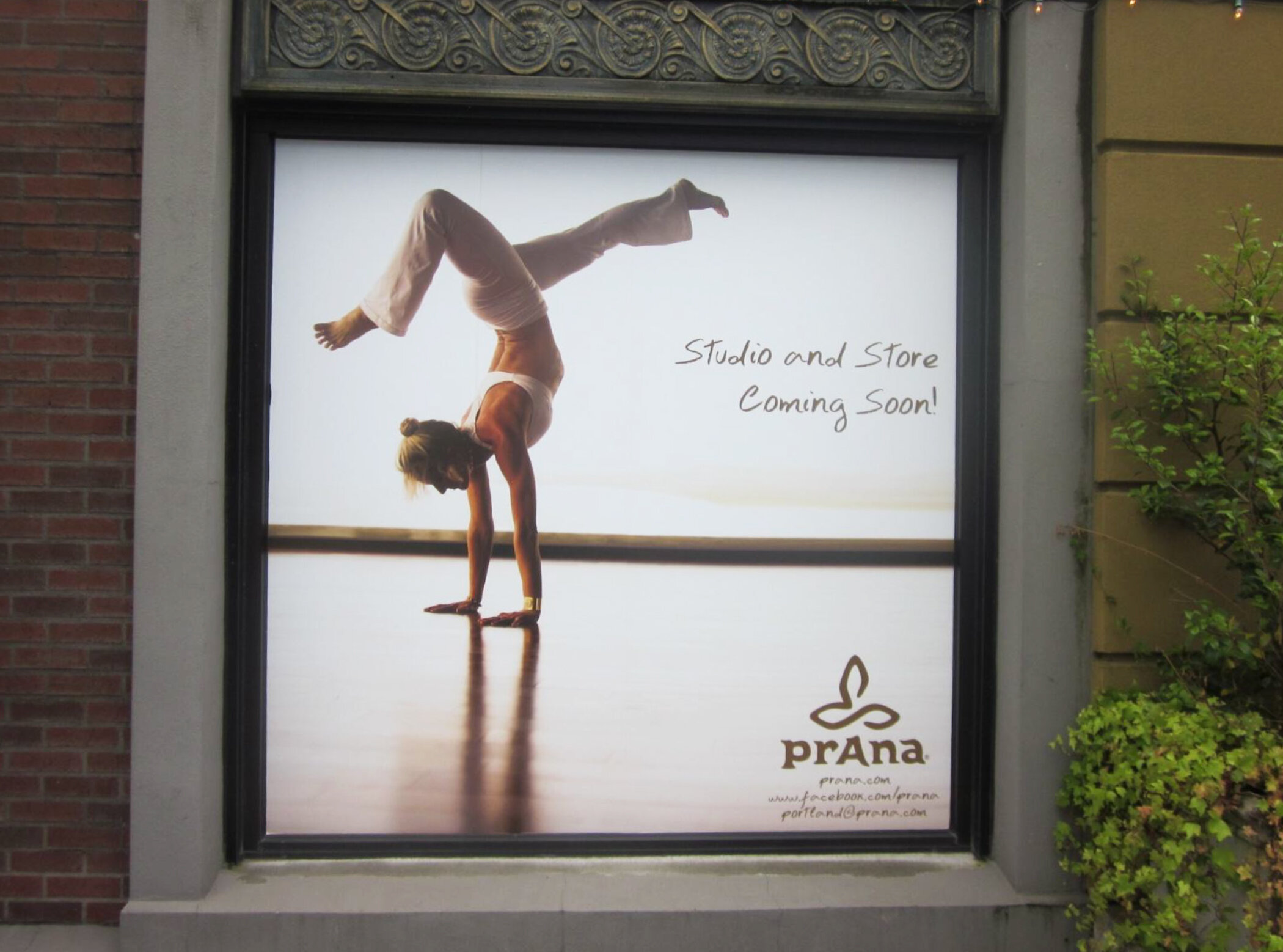prana 5.jpg