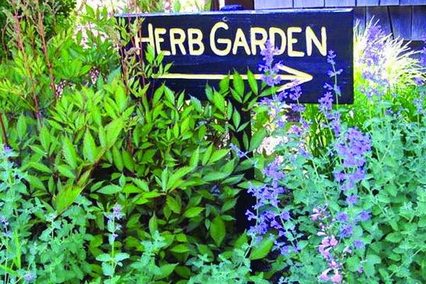 Herb-Garden-Sign.jpg