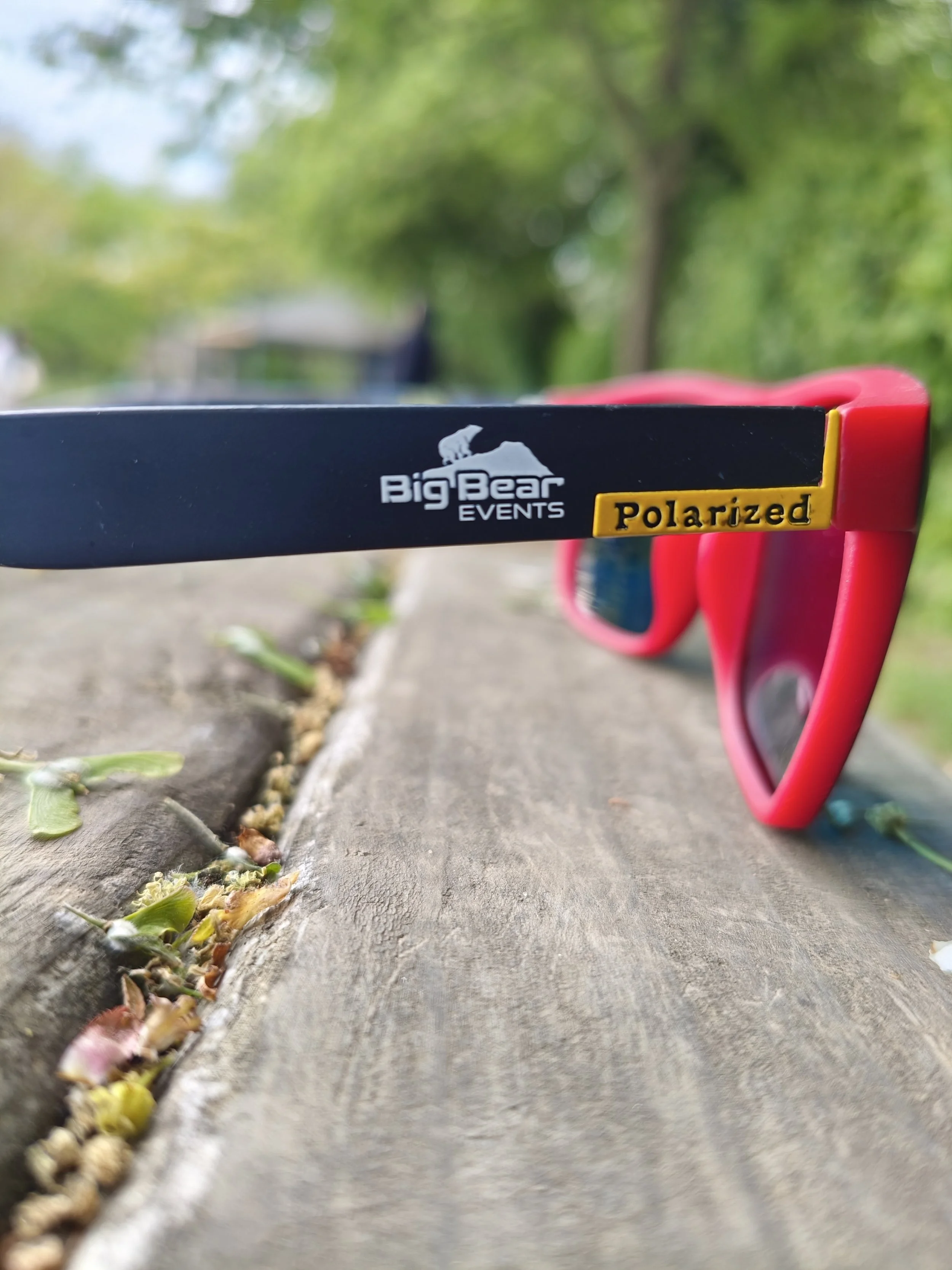 Big Bear Sunnies