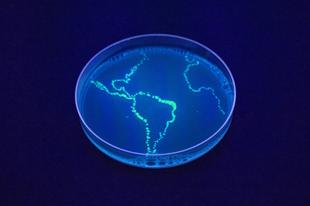 Bacteria Maps - 2013