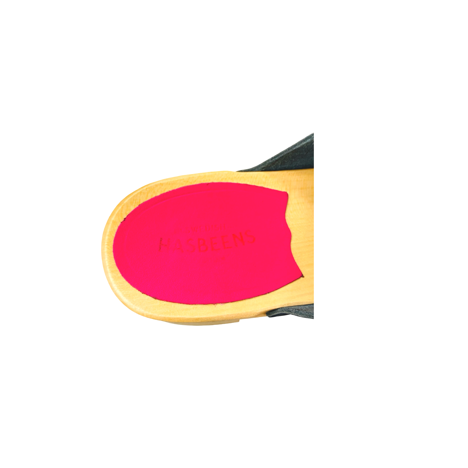 IMG_6526.png