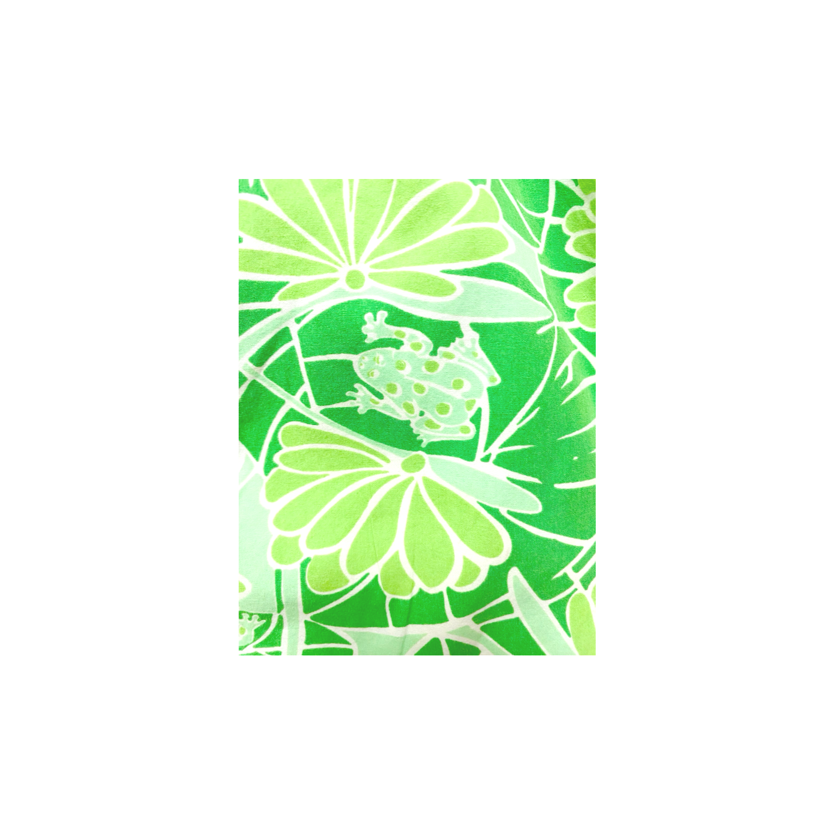IMG_7591.png