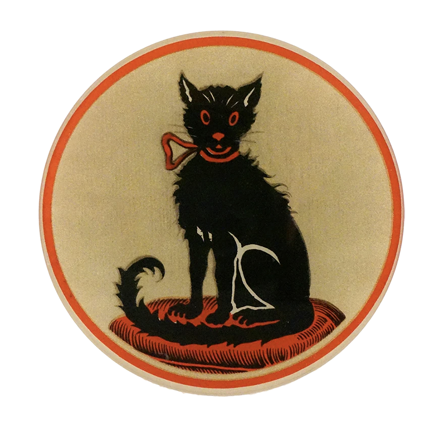 Good Luck To You Black Cat