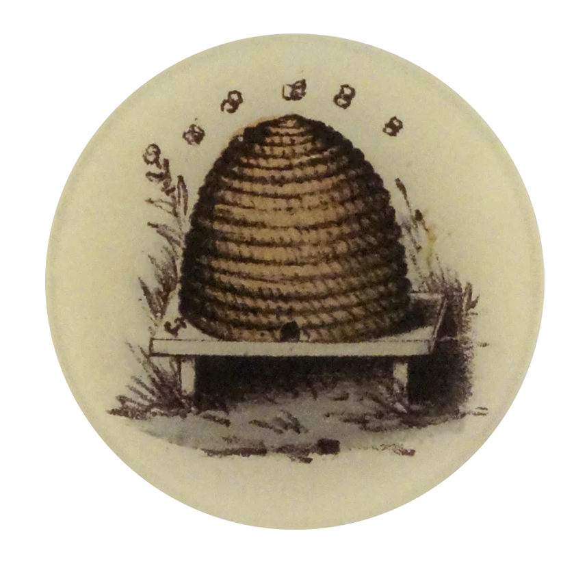 Hive