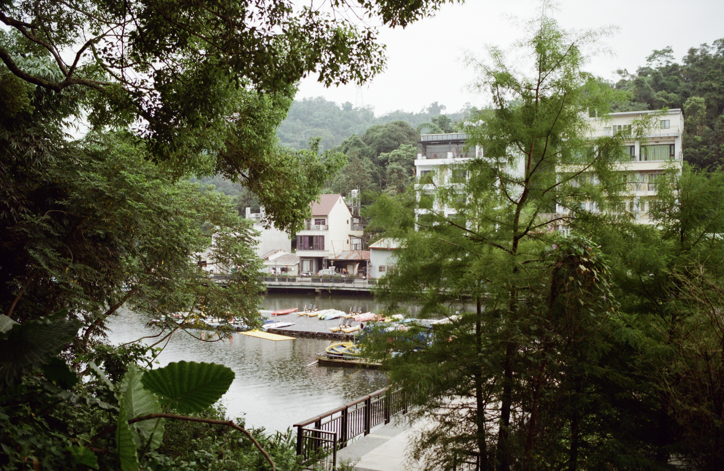 View of a small harbor with boats surrounded by lush green trees and residential buildings in the background.