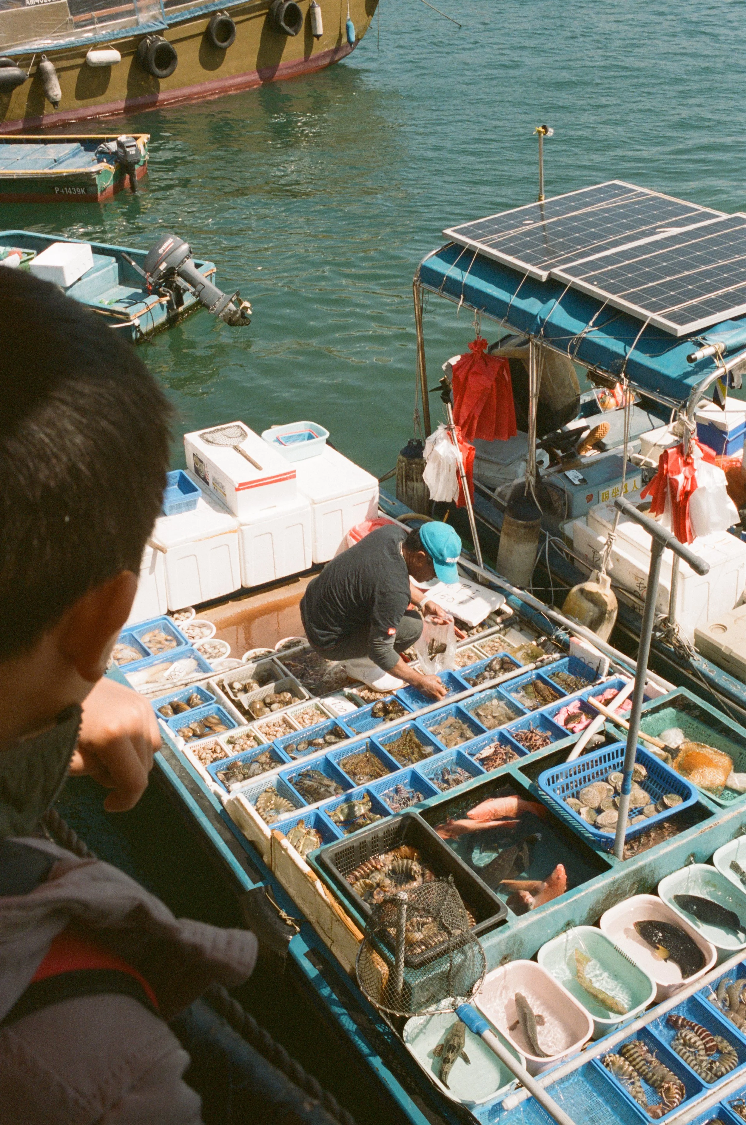 A seafood market on a boat with a vendor selling various fresh seafood. A person is sitting on the boat, organizing or handling the seafood. The boat has solar panels on the roof and is docked in water, with other boats nearby.