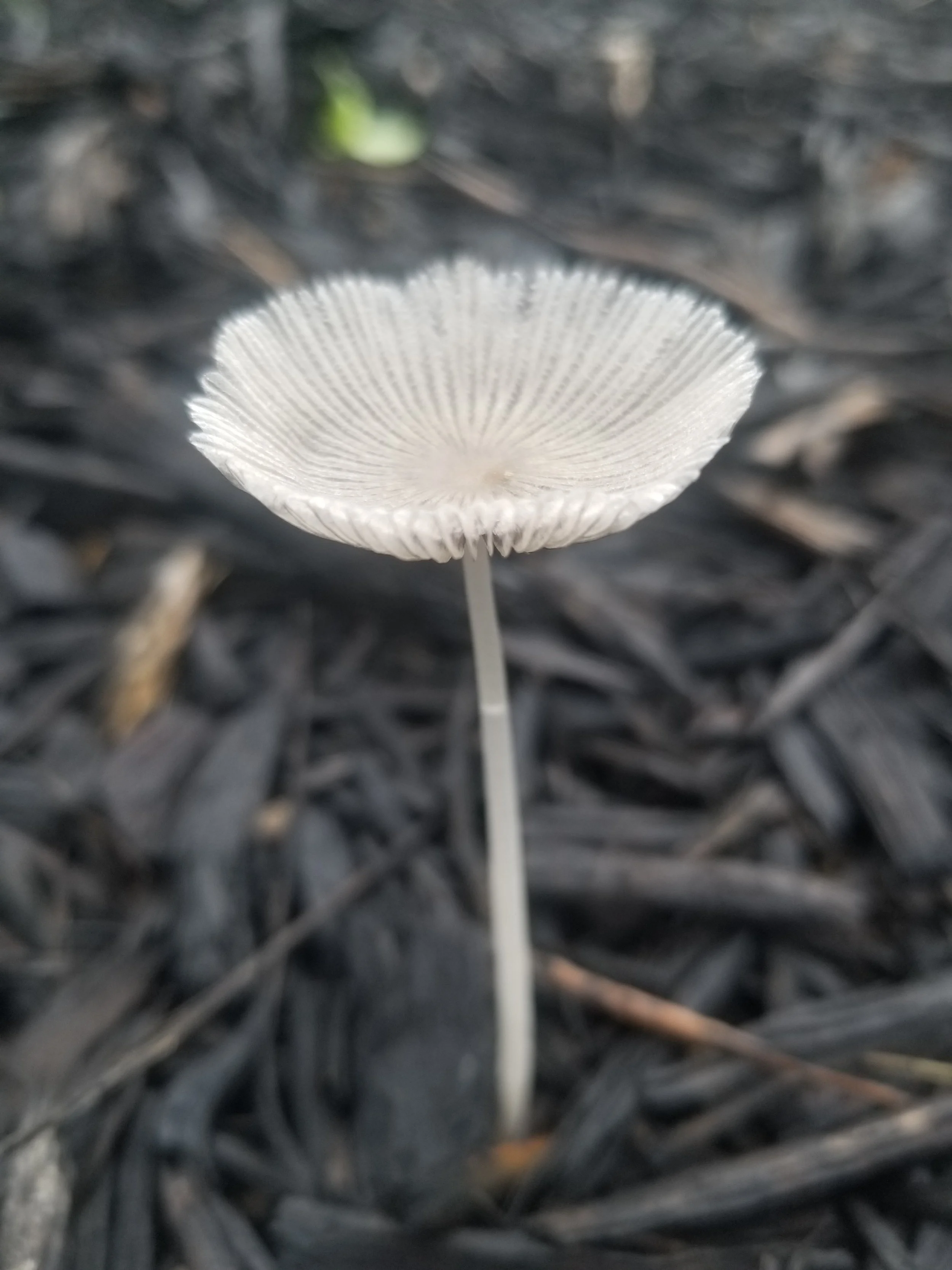 20220603_085448.jpg
