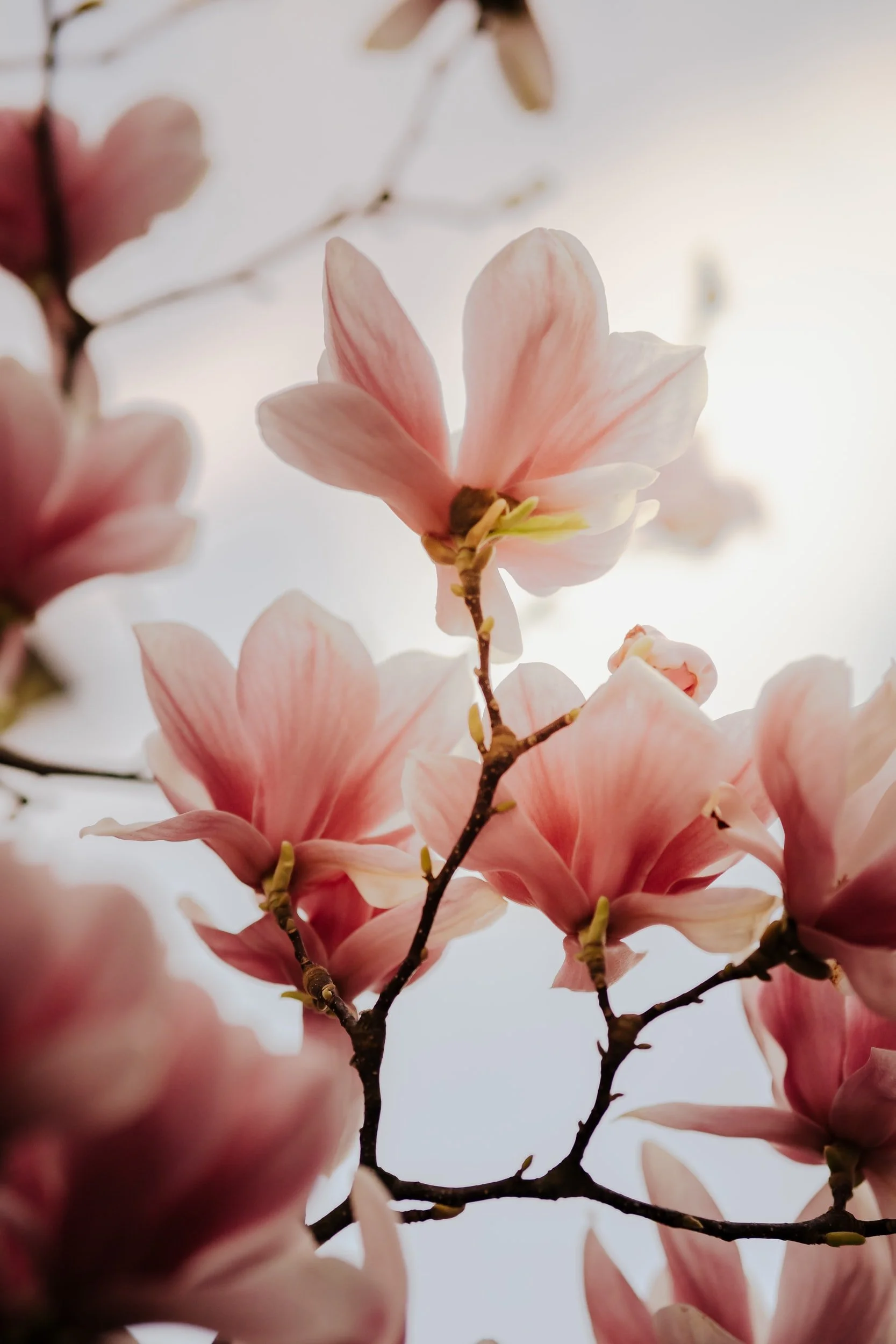 unsplash-image-qKIGMYdJvPk.jpg