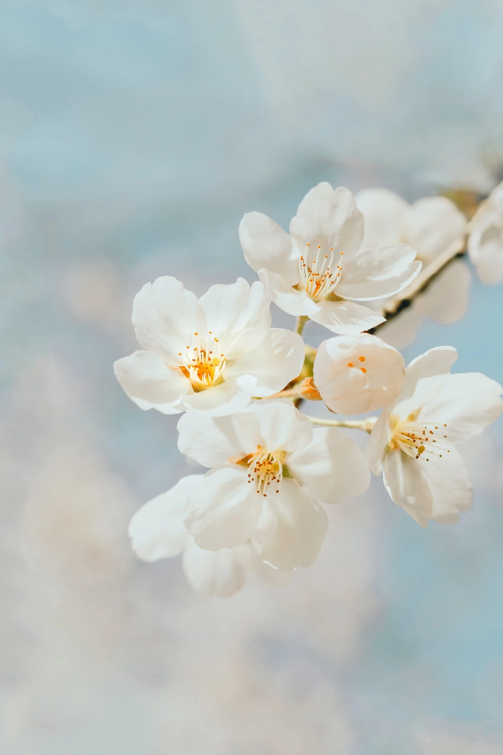 unsplash-image-yRXuXvy4sQ4.jpg