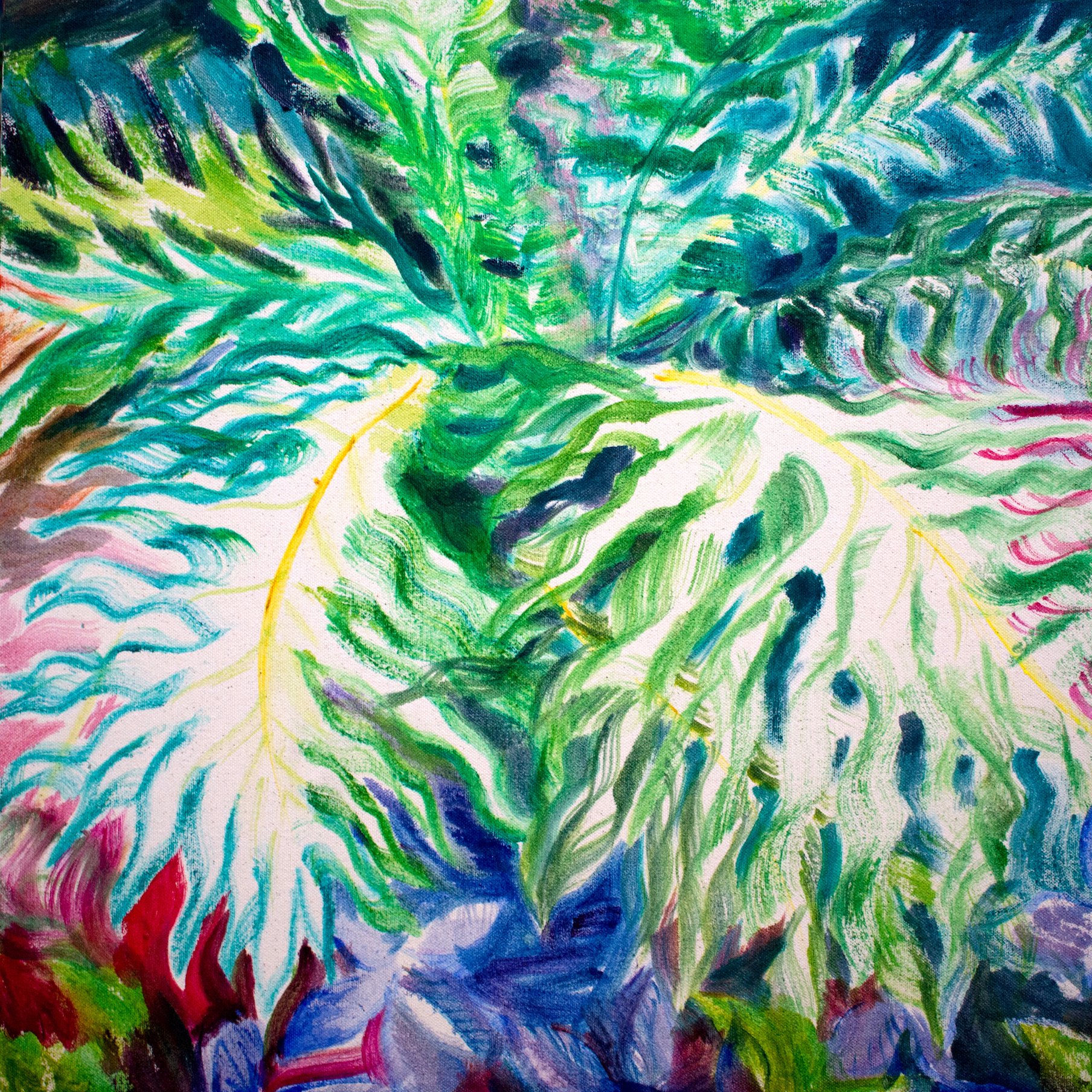 sanantonio_redbraziliantreefern_hazelmiller 2.jpg