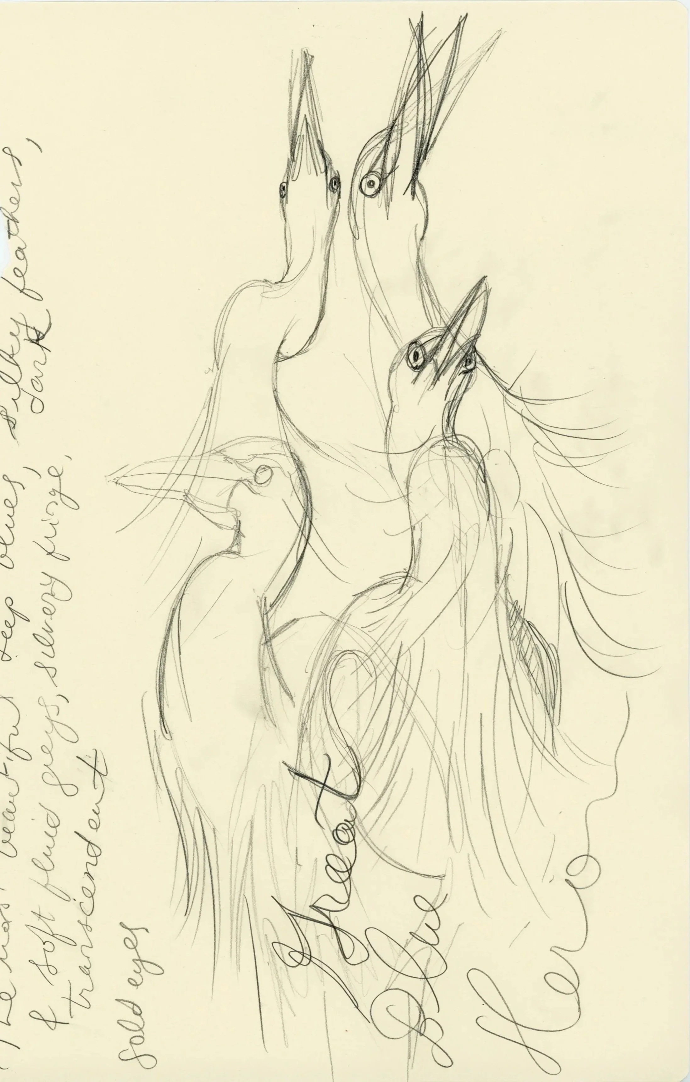Sketchbook