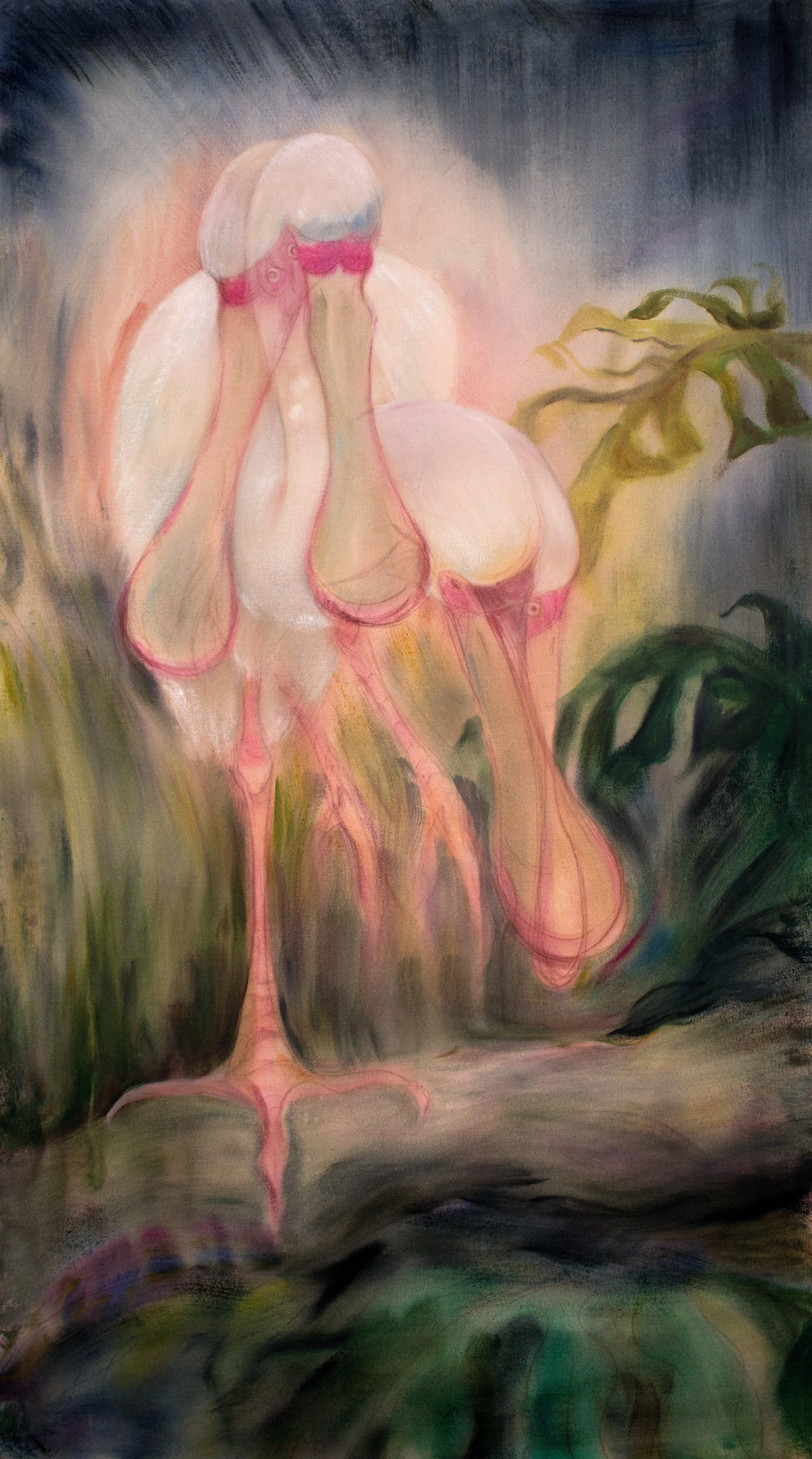 african_spoonbill_hazel_miller.jpg