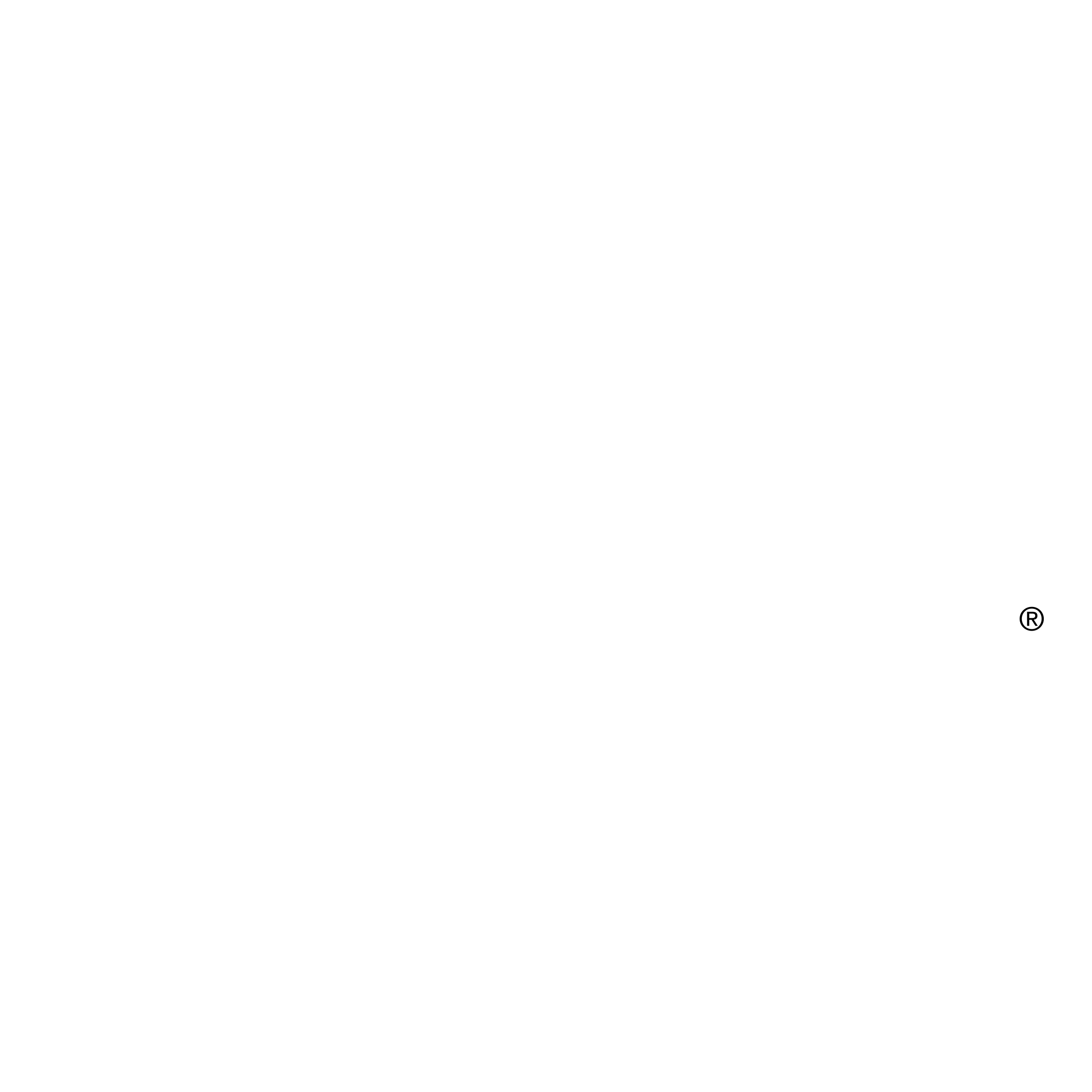 winnebago-1-logo-png-transparent.png