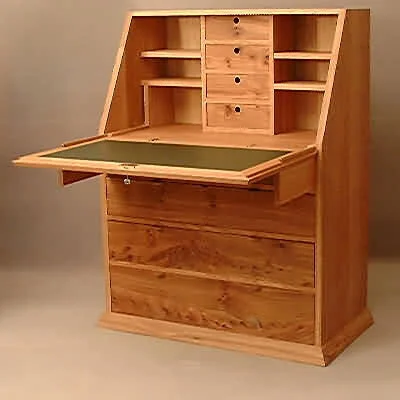 bureau-burr-1.JPG